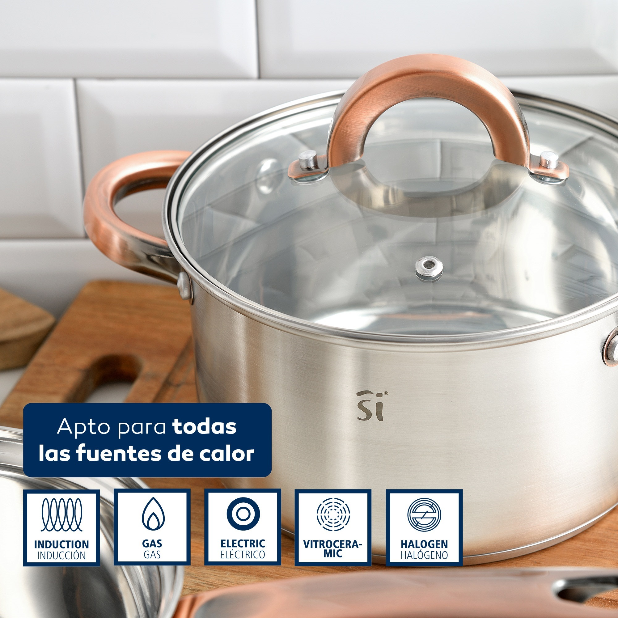 Olla de acero inoxidable con asa de cobre y tapa de cristal. Iconos de fuentes de calor.