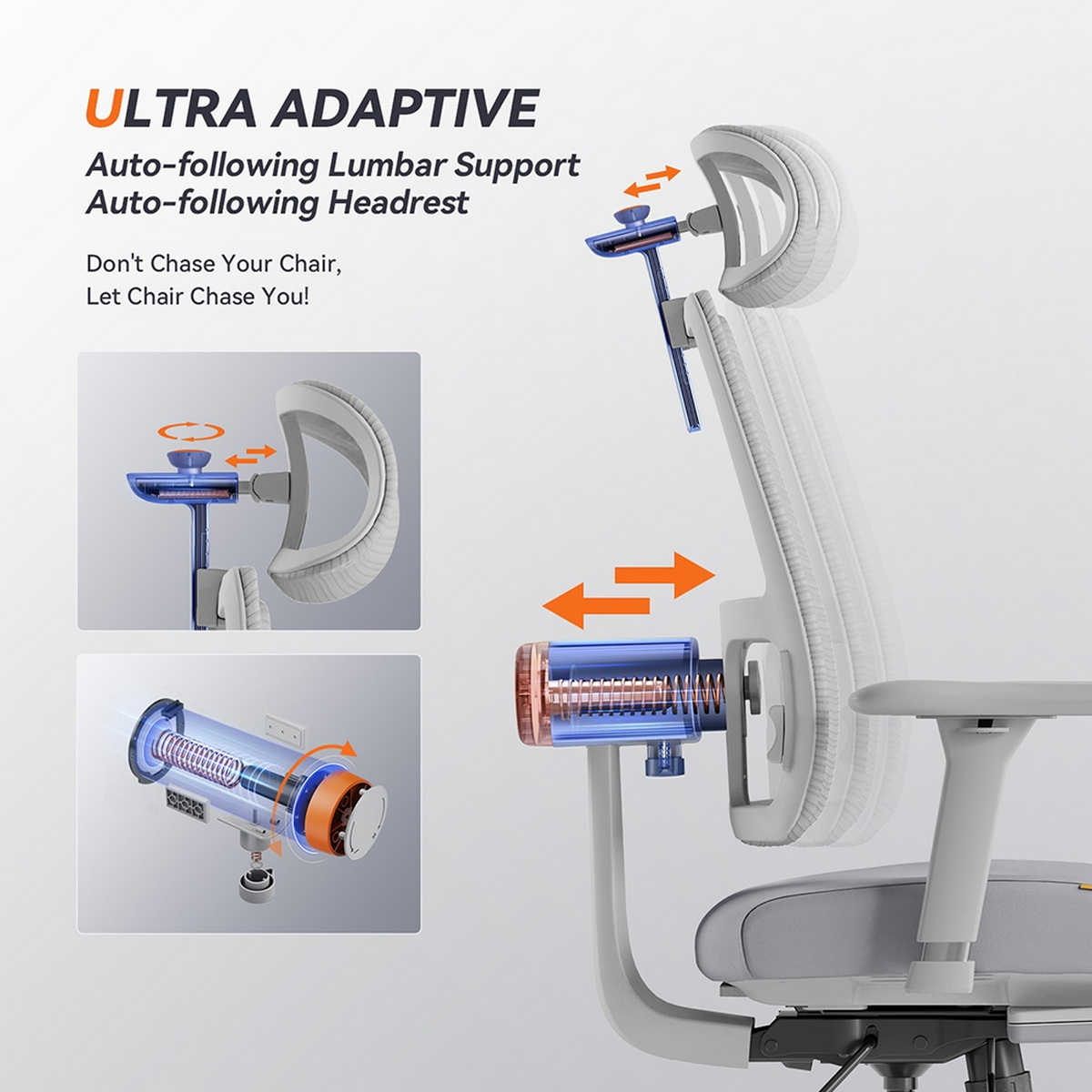 Diagramma di una sedia ergonomica che mostra il supporto lombare e la regolazione del poggiatesta.