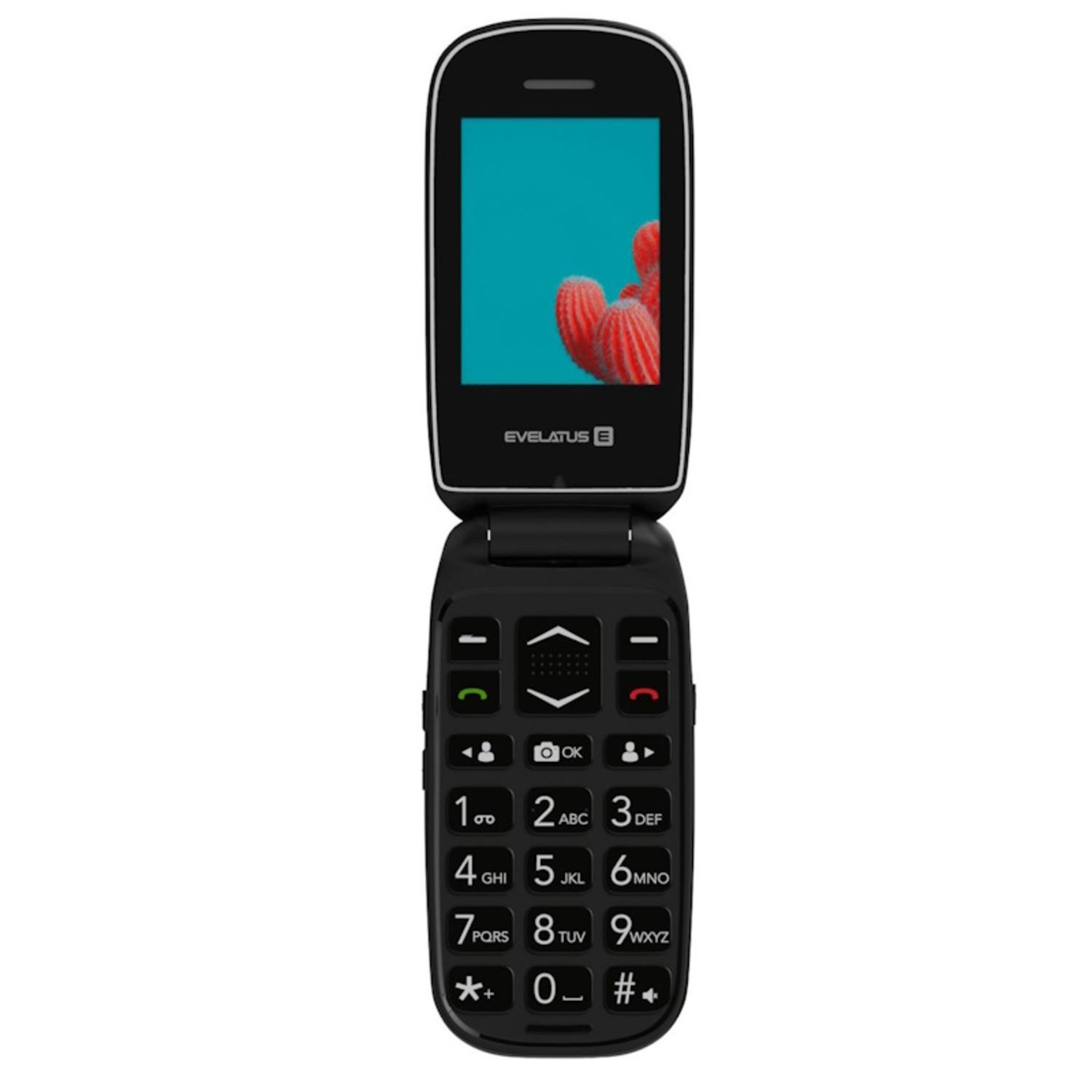 Teléfono plegable negro con imagen de cactus en la pantalla. Fondo blanco.