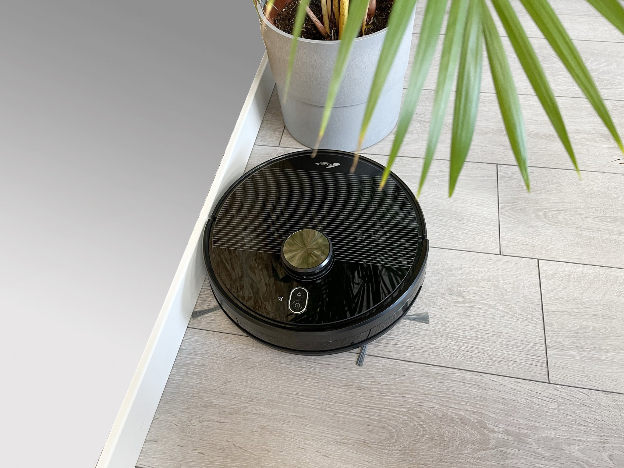 A black robot vacuum cleaner on a wooden floor. A green plant is next to a white wall. The vacuum is clean.