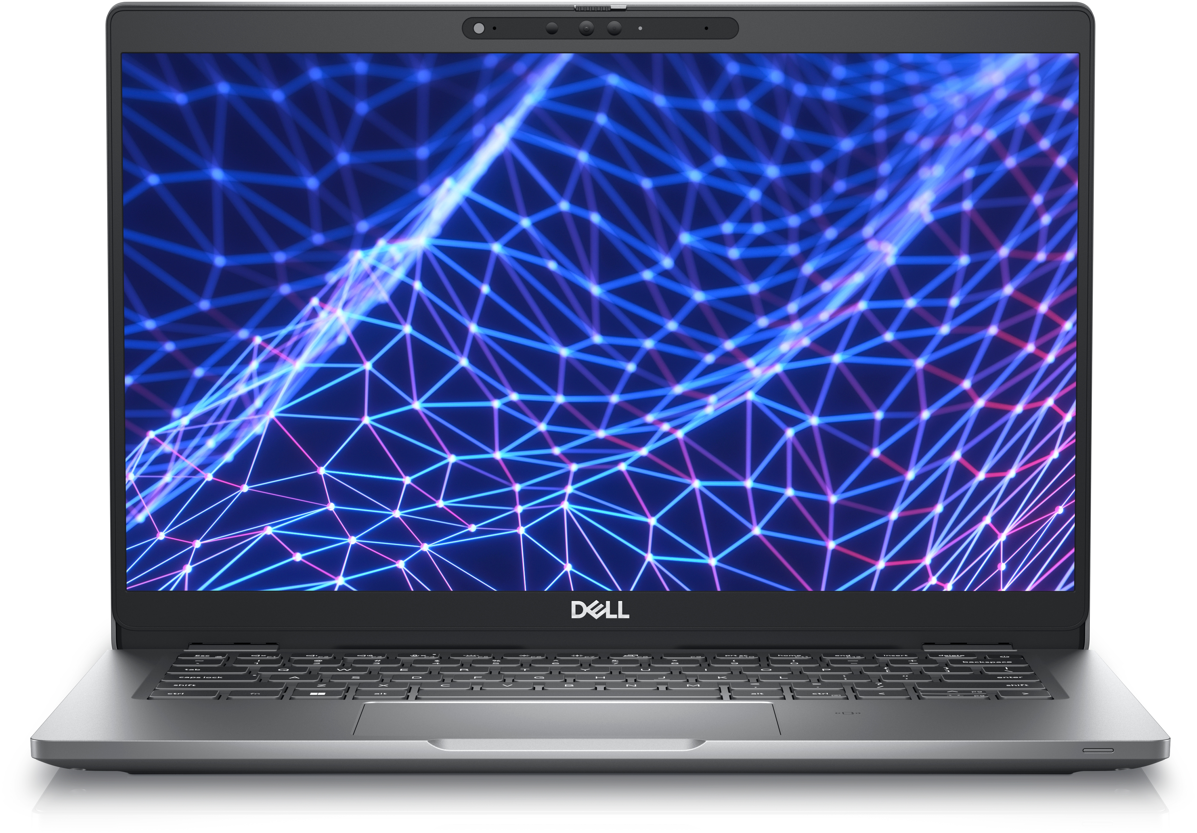 Un laptop argentato mostra una grafica di rete blu. Il logo Dell è visibile.