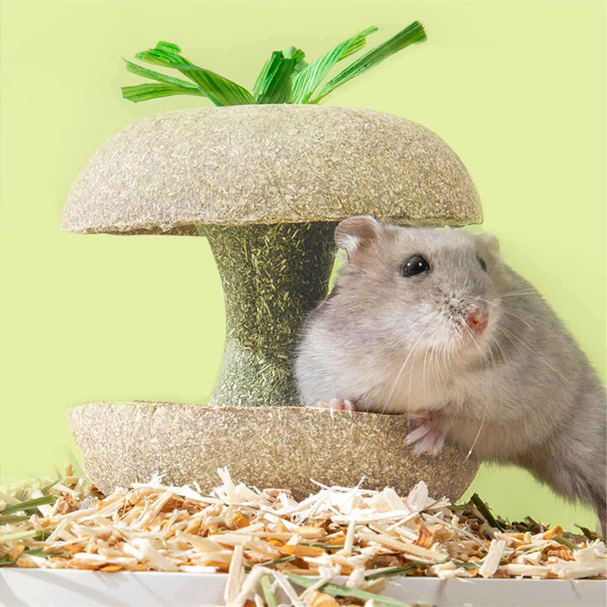 Ein Hamster in der Nähe einer pilzförmigen Futterschale auf grünem Hintergrund.
