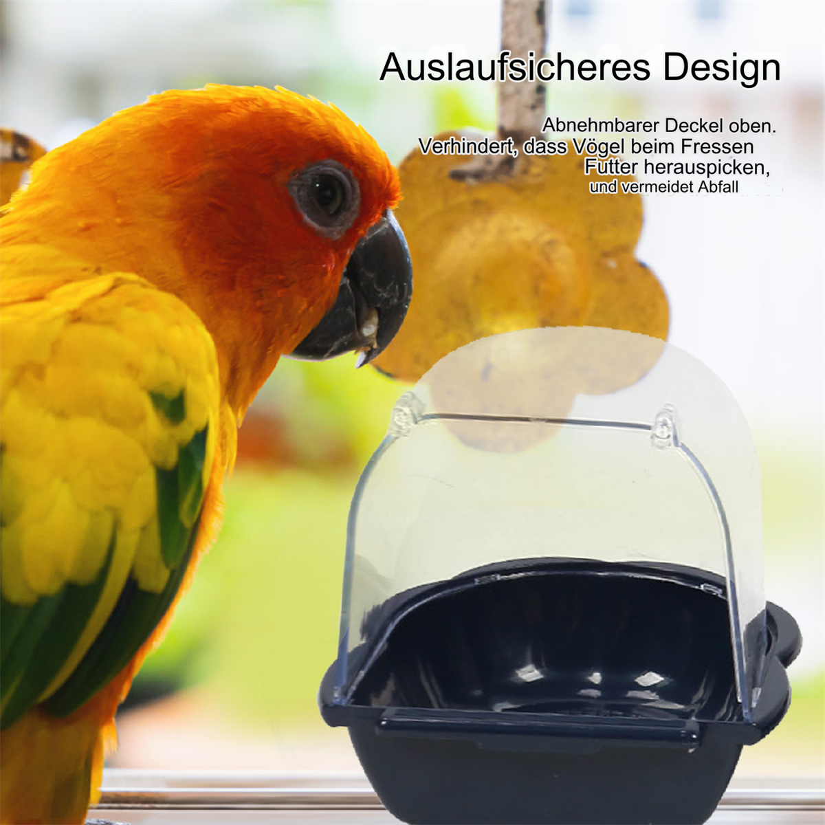 Ein Papagei mit einem Vogelfutterautomaten. Der Futterautomat ist transparent und schwarz.