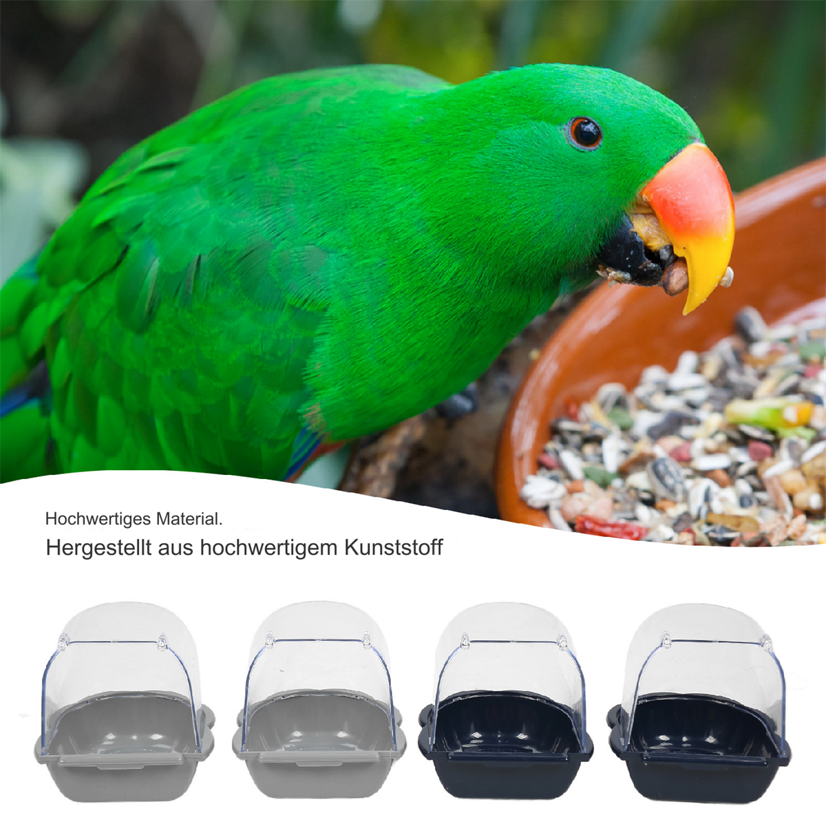 Ein grüner Papagei frisst aus einer braunen Schüssel mit Samen. Vier Vogelfutterspender unten.