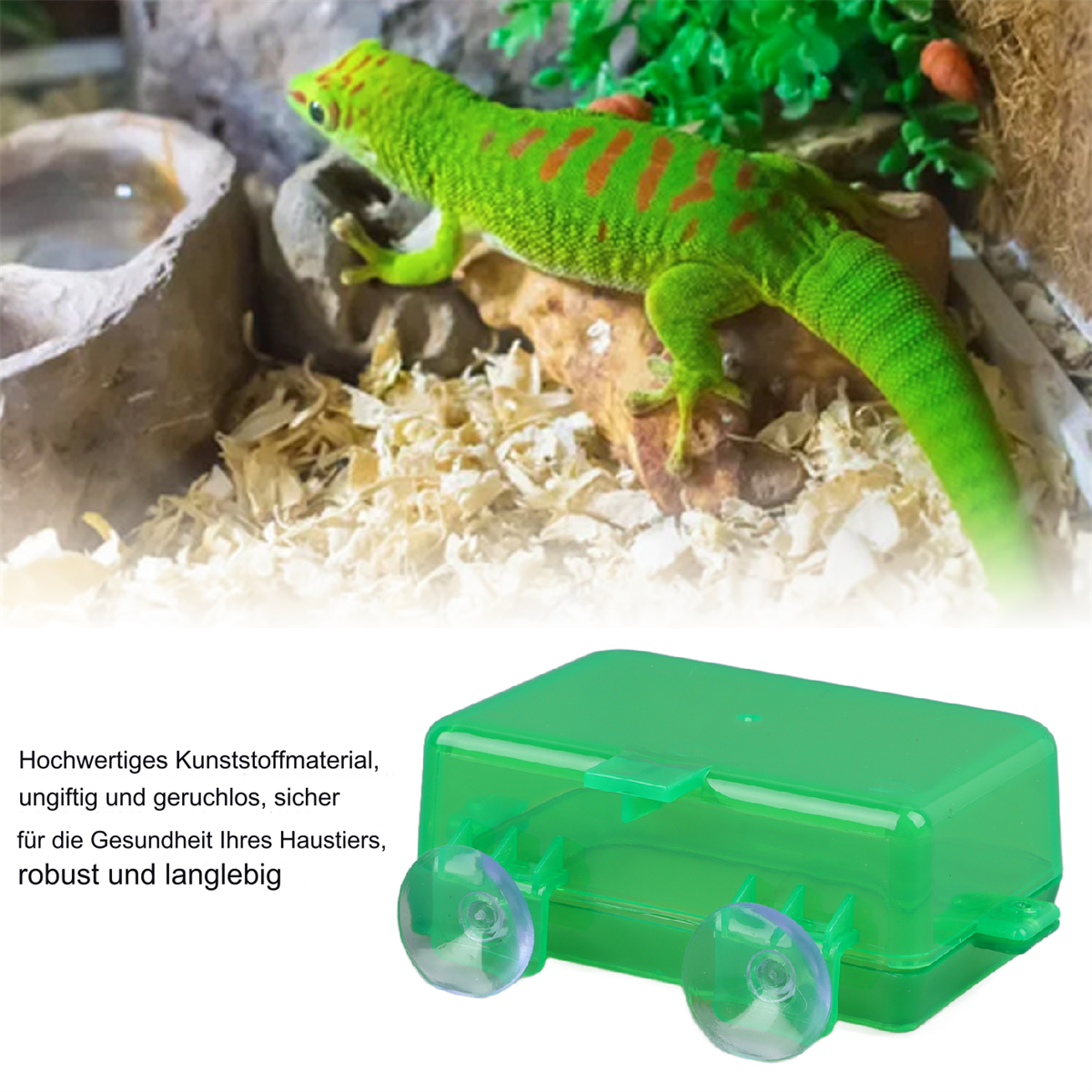 Ein grüner Gecko in einer künstlichen Umgebung mit einem grünen Behälter vorne. Der Behälter hat Saugnäpfe.