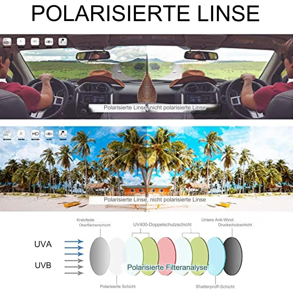 Auto-Innenraum, polarisierte Linsenprüfung mit zwei Ansichten, zeigt eine sonnige Landschaft und ein Schichtdiagramm.