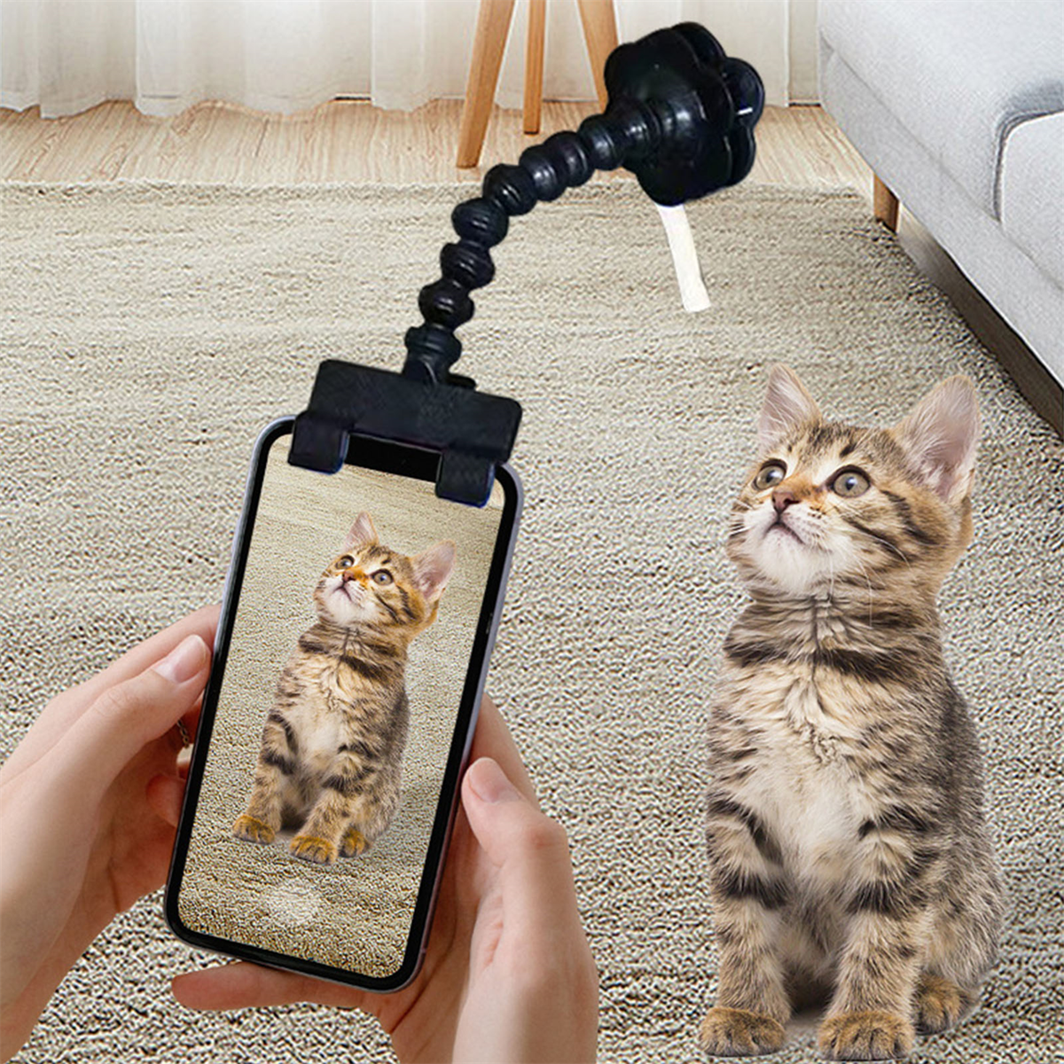 Eine Katze, die ein Telefon mit derselben Katze darauf ansieht. Ein Telefonhalter ist an einem flexiblen Arm befestigt.