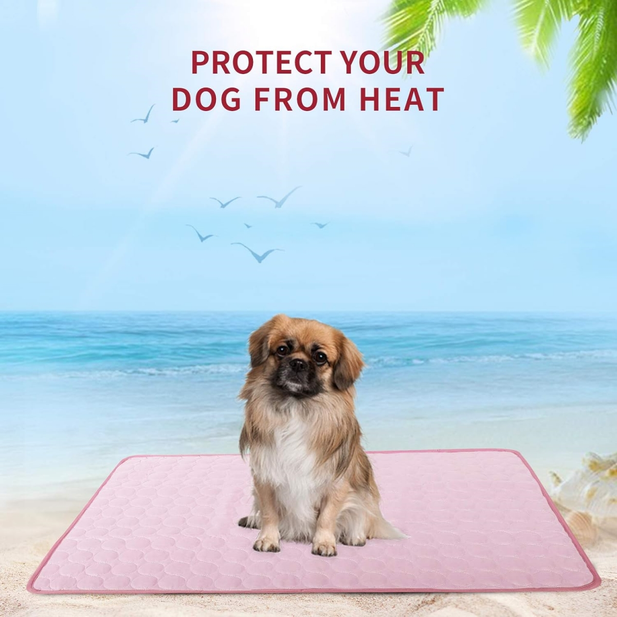 Ein Hund sitzt auf einer rosa Matte am Strand. Der Text lautet: SCHÜTZE DEINEN HUND VOR HITZE.