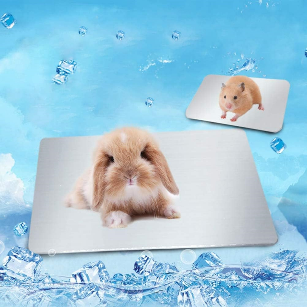 Ein Kaninchen und ein Hamster sitzen auf Kühlpads, Eiswürfel schweben auf blauem Grund.