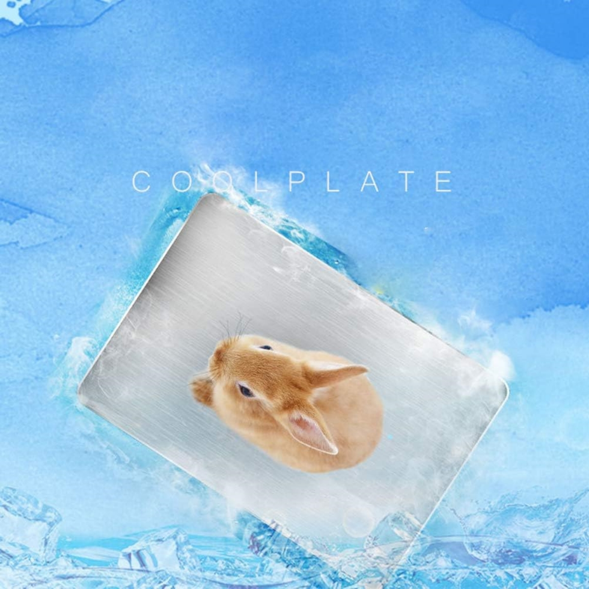Kleiner Hase auf einer Kühlplatte, umgeben von Eis. Blauer Hintergrund, Text 'COOLPLATE'.