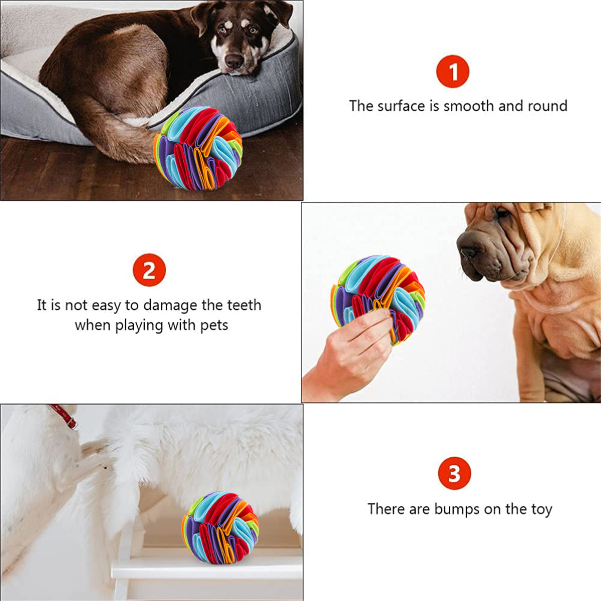 Ein buntes Hundespielzeug mit einem braunen Hund und einem Shar Pei. Text hebt seine Funktionen hervor.