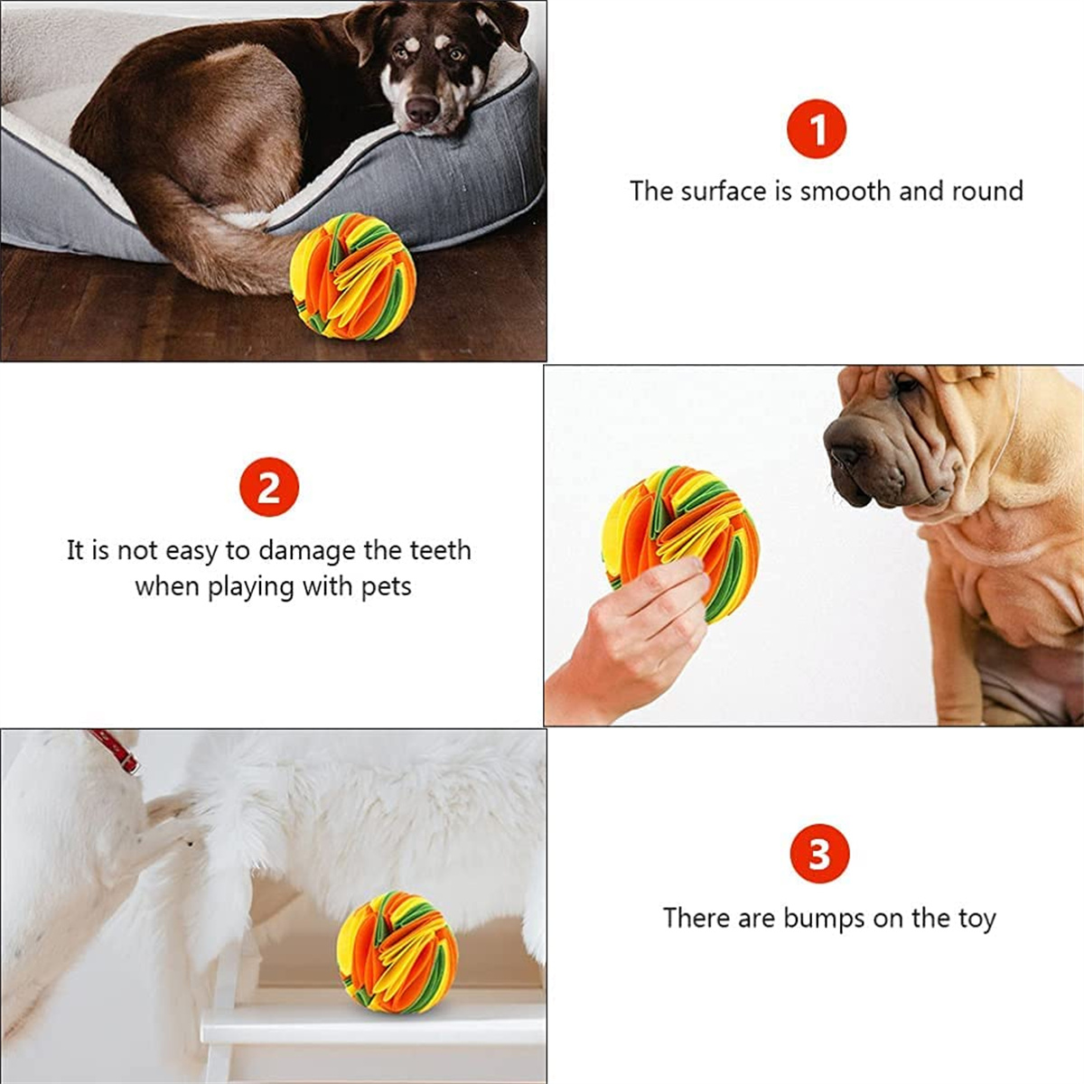 Hundespielzeug mit buntem Design. Hund im Hintergrund. Text beschreibt die Spielfunktionen.