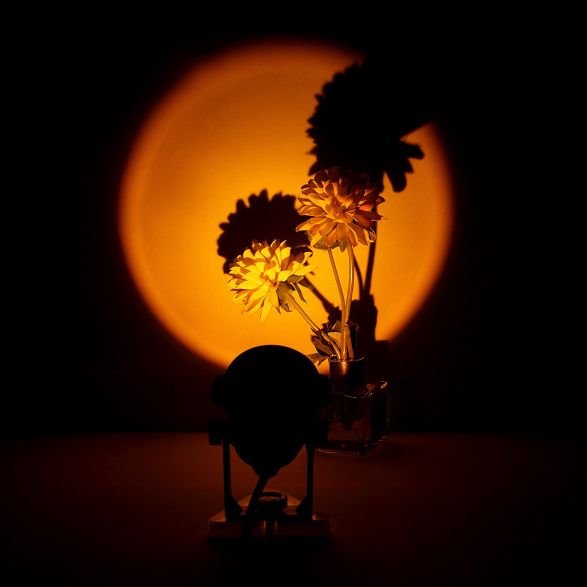 Ein Projektor erzeugt einen Sonnenuntergangseffekt an einer Wand. Blumen stehen davor.