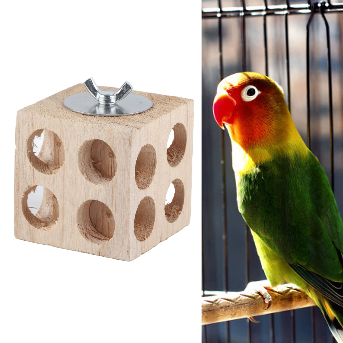 Vogelspielzeug und Vogel, Würfelspielzeug mit Löchern und bunter Vogel.