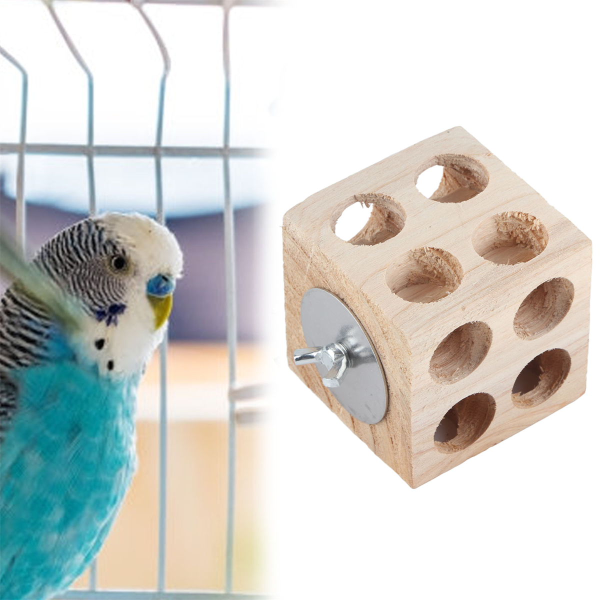 Vogelspielzeug aus Holz mit Löchern und einem Vogel im Käfig. Das Spielzeug hat eine Metallschraube.