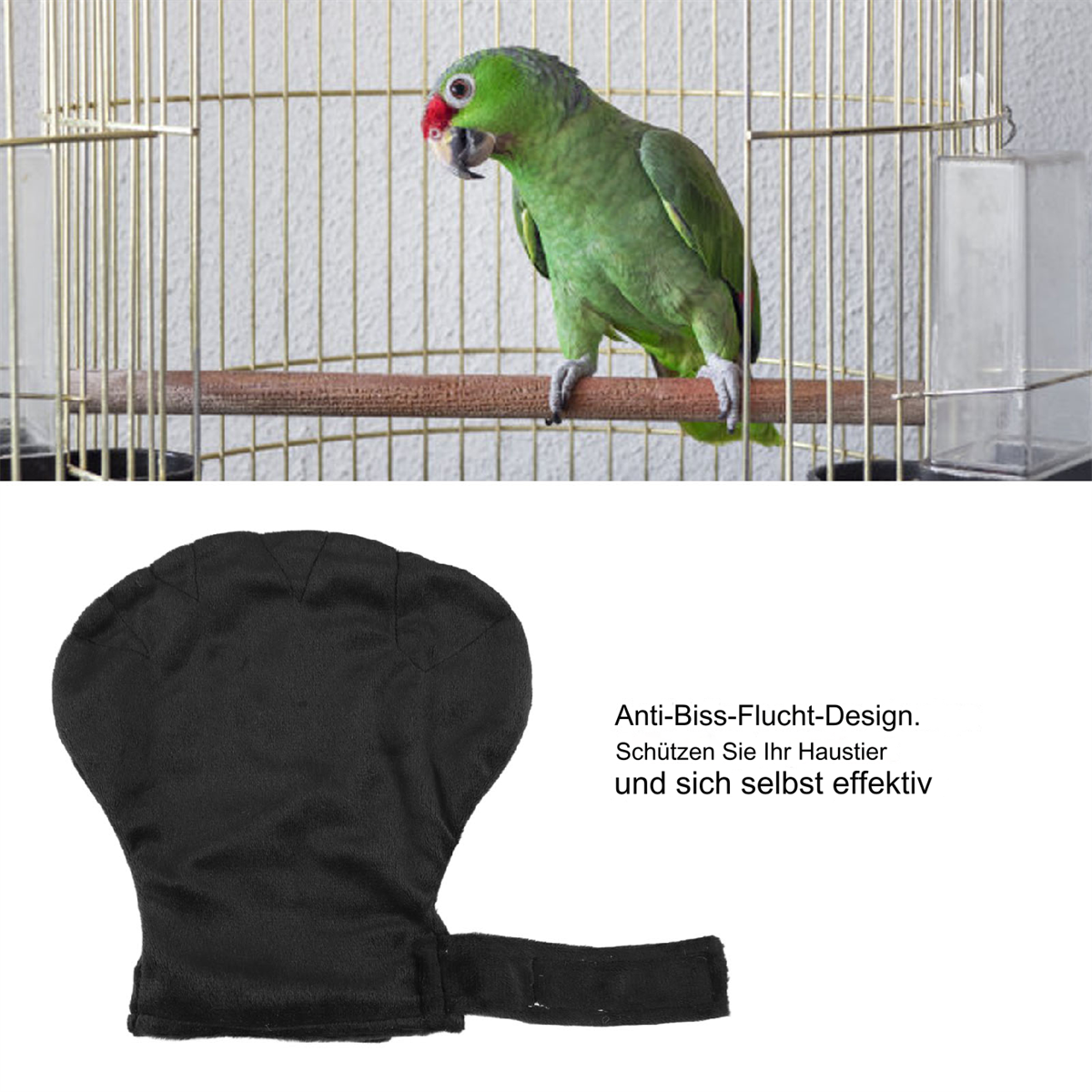Ein Papagei in einem Käfig mit einem schwarzen, bissfesten Vogelschutzhandschuh.