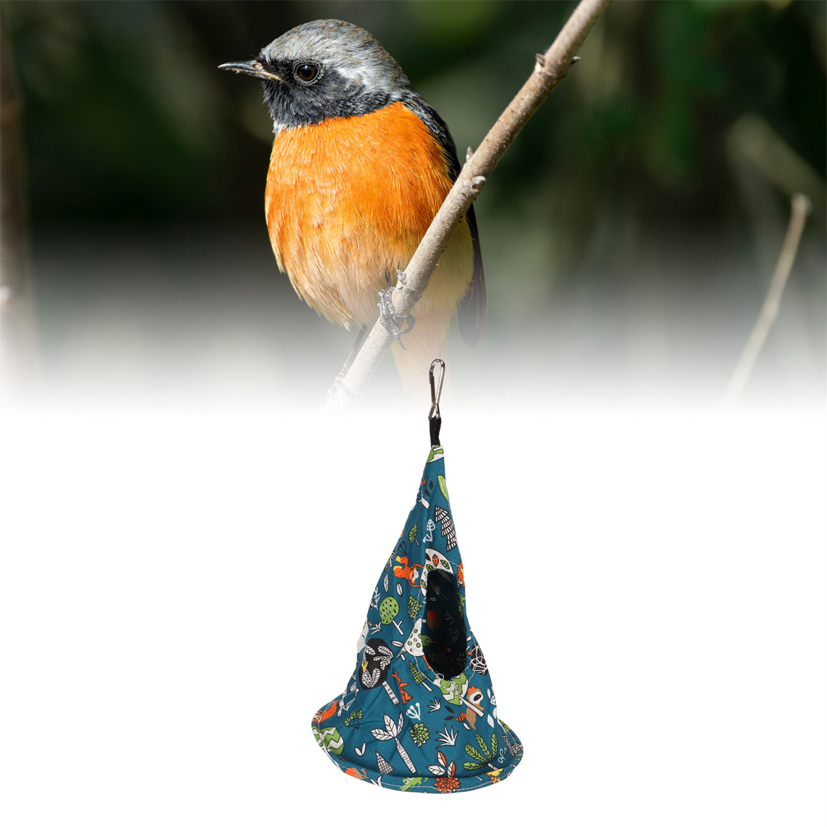Ein kleiner roter Vogel auf einem Ast über einem hängenden Vogelhaus, vor weißem Hintergrund.