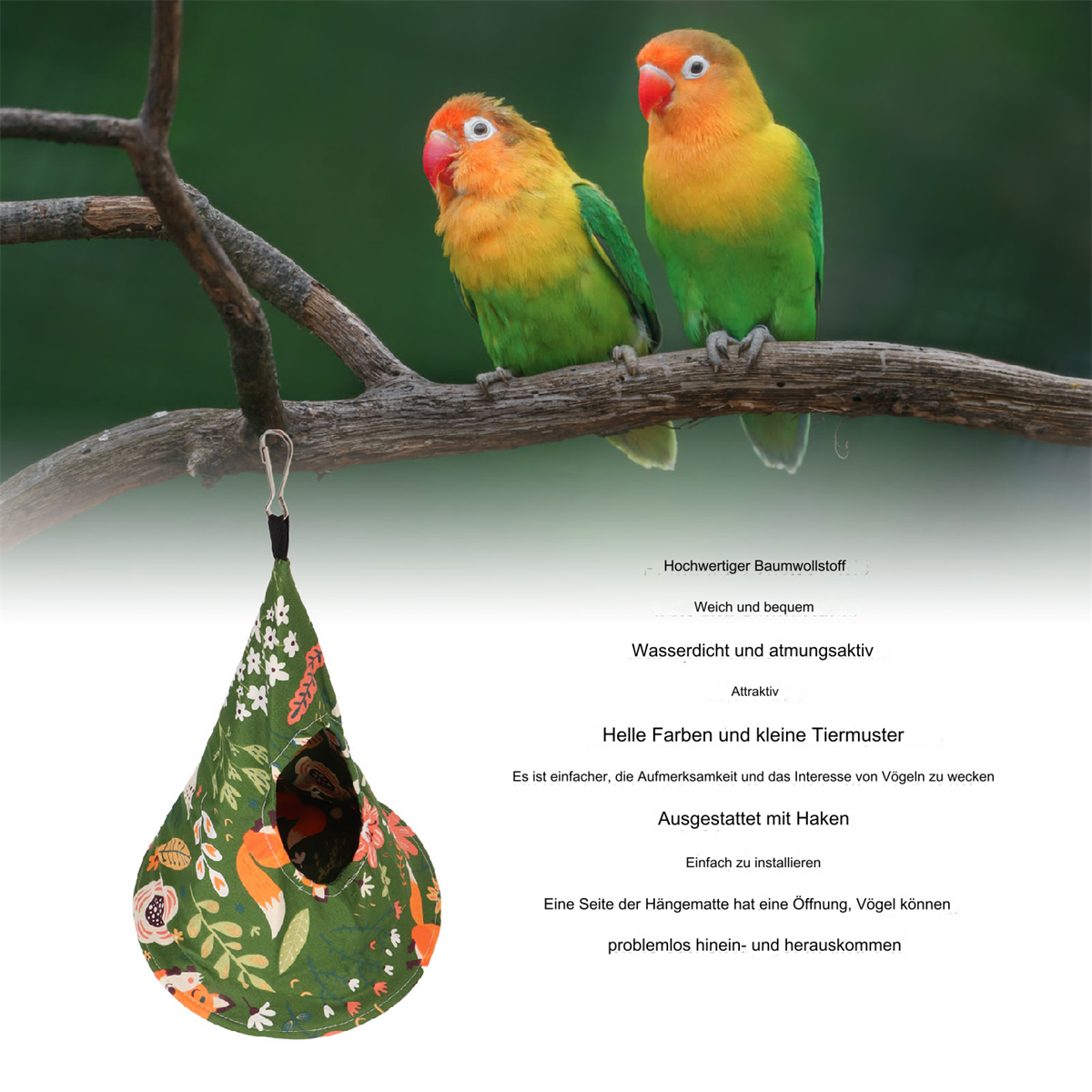Zwei Unzertrennliche auf einem Ast neben einem vogelnestförmigen Hängenest.