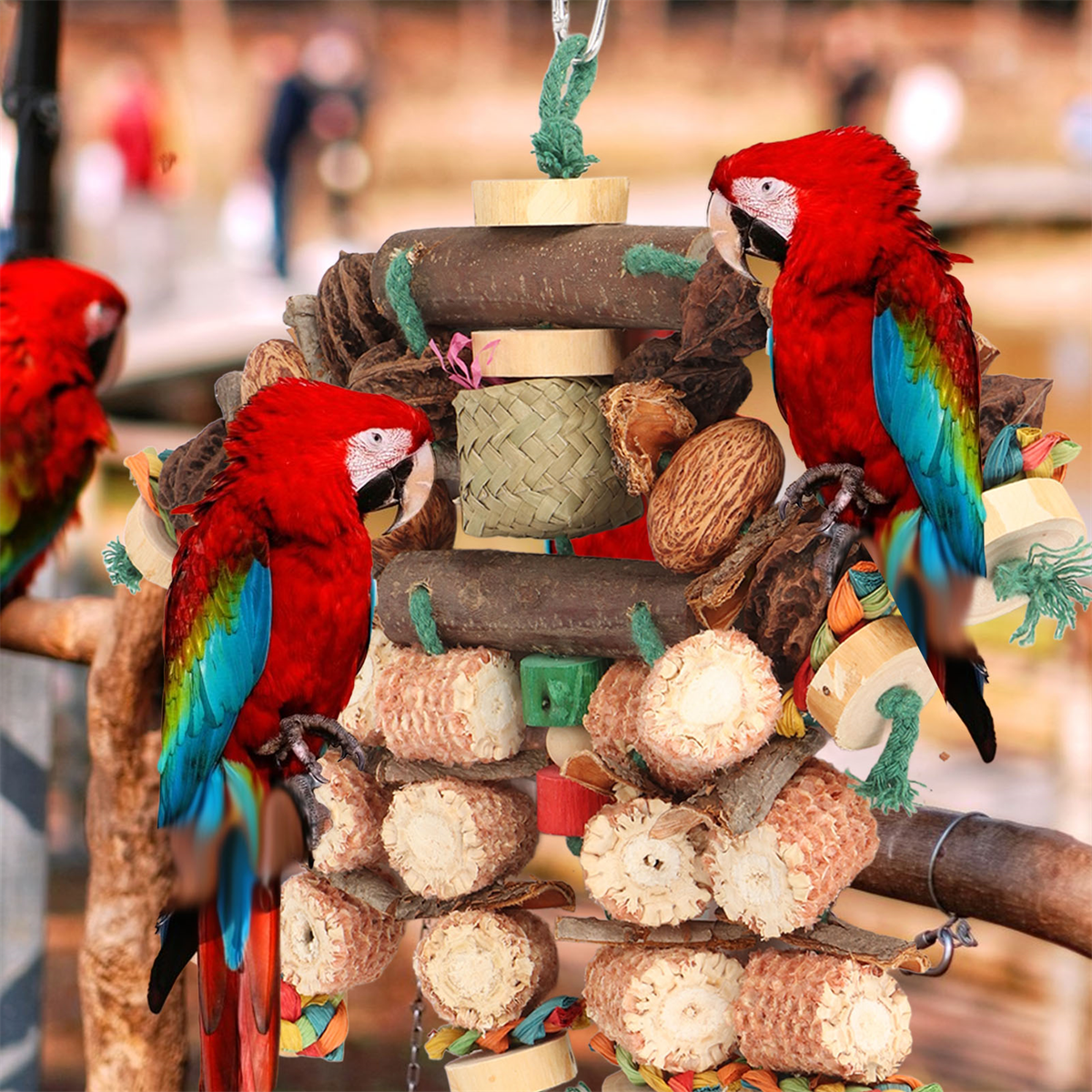 Drei rote Aras sitzen auf einem Vogelspielzeug mit Holz und Mais. Der Hintergrund ist unscharf.