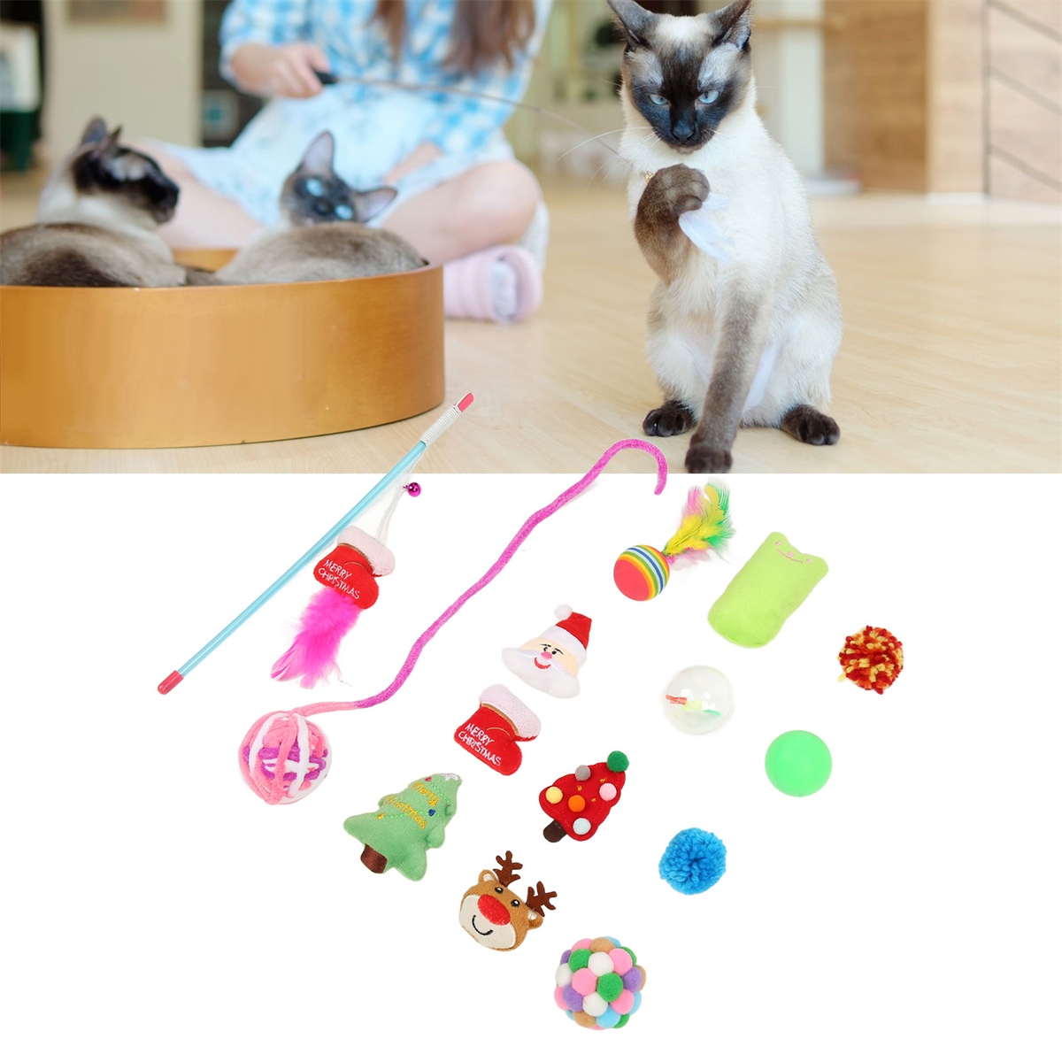 Siamesische Katze spielt mit einem Spielzeug, andere Katzen und Spielzeuge sind im Hintergrund. Eine Person ist im Hintergrund.
