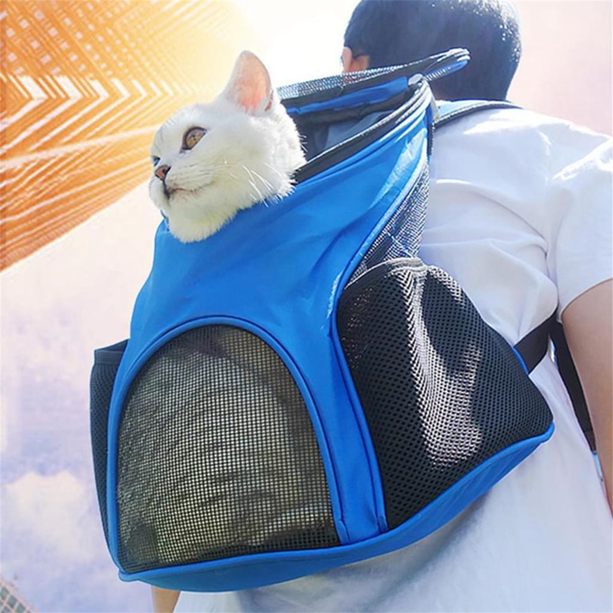 Eine weiße Katze, die aus einer blauen Haustiertasche herausschaut, die auf dem Rücken einer Person getragen wird.