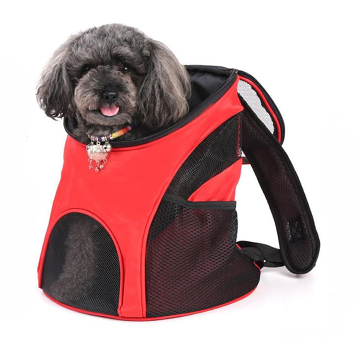 Ein schwarzer Hund in einem roten Rucksackträger mit Netzteilen. Weißer Hintergrund.