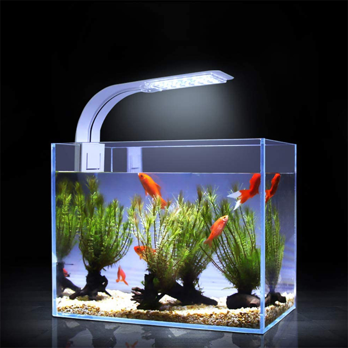 Ein Aquarium mit roten Fischen, grünen Pflanzen und einer hellen LED-Leuchte darüber. Dunkler Hintergrund.