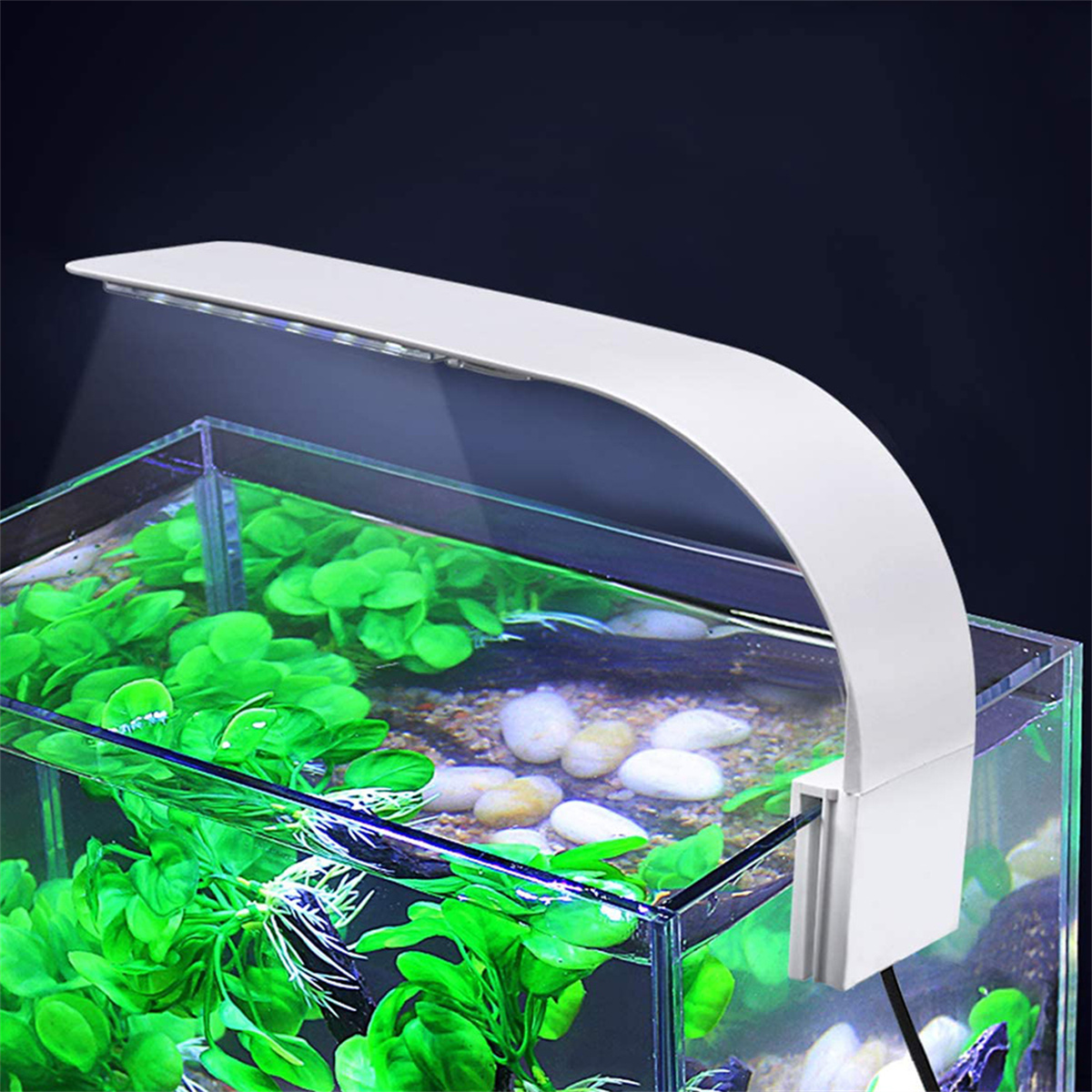 Ein Aquarium mit grünen Pflanzen und einer weißen LED-Leuchte.