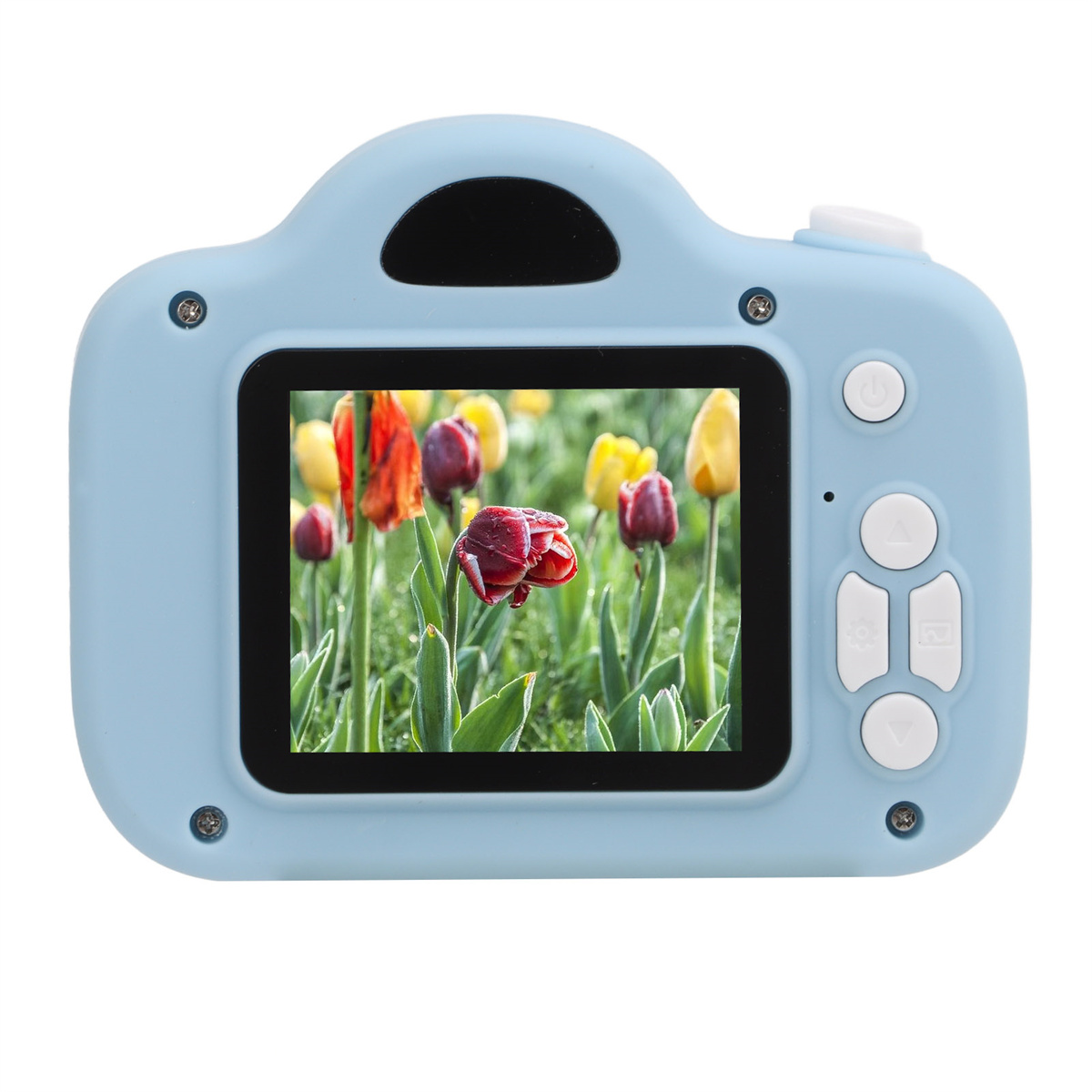 Blaue Spielzeugkamera, die ein Feld aus roten, gelben und violetten Tulpen auf dem Bildschirm zeigt.