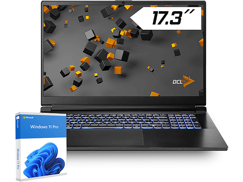 DCL24 Gaming Notebook mit Intel Core i9-13900H, Gaming Notebook, mit 17 ...