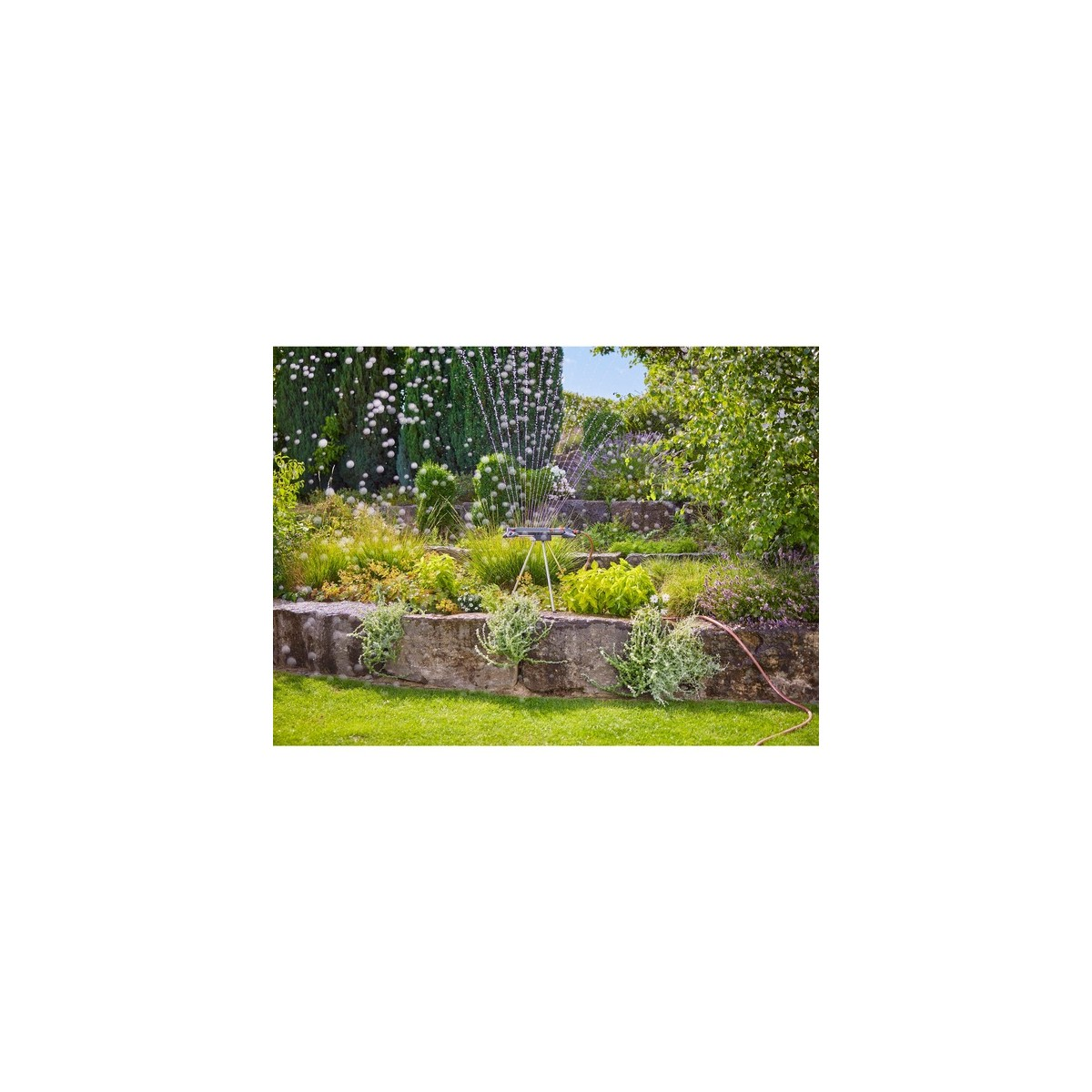 Ein Rasensprenger bewässert einen Garten. Im Hintergrund befinden sich Blumen, Gras und eine Steinmauer.