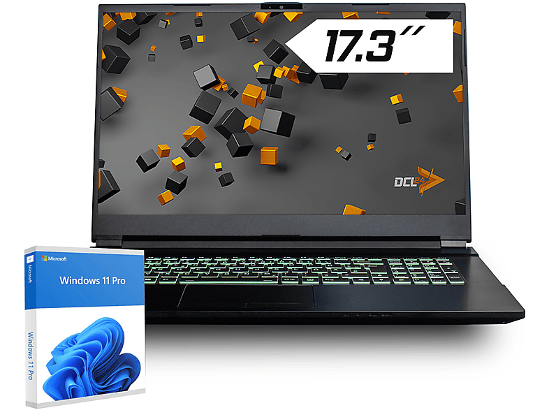 DCL24 Gaming Notebook mit Intel Core i5-10300H, Gaming Notebook, mit 17 ...