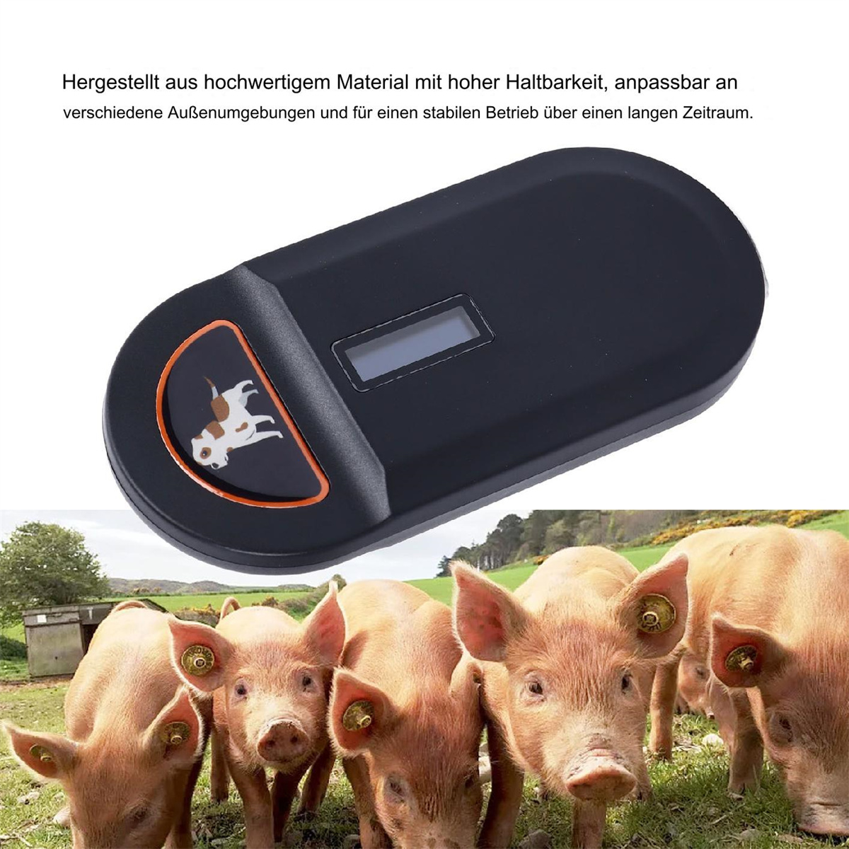 Schwarzes Gerät mit Schweine-Logo. Schweine sind im Hintergrund.