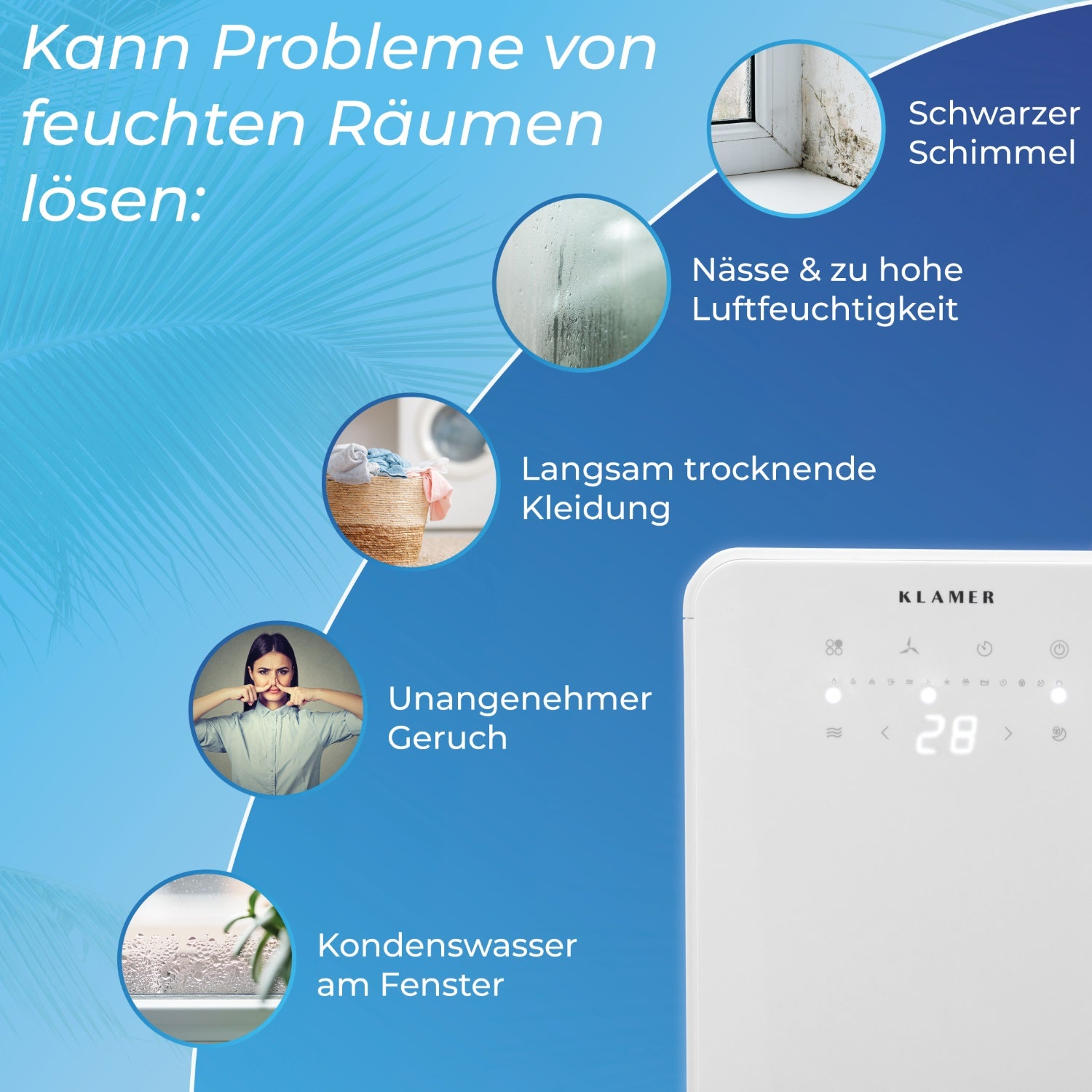Diagramm, das Lösungen für feuchte Räume zeigt. Bilder umfassen Schimmel, Kondensation usw.