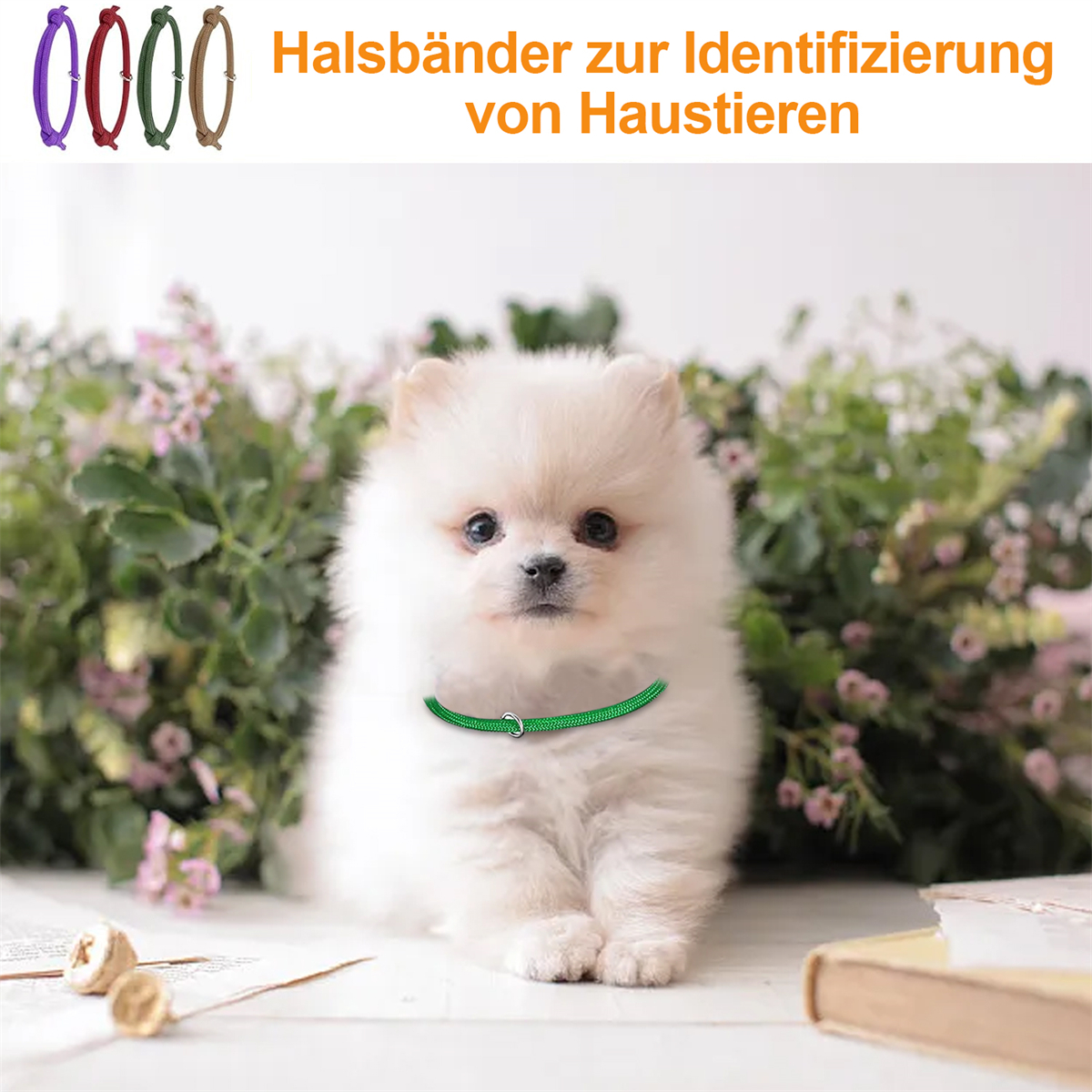 Weißer flauschiger Hund mit grünem Halsband, Blumen und Text: Hunde-Halsbänder.