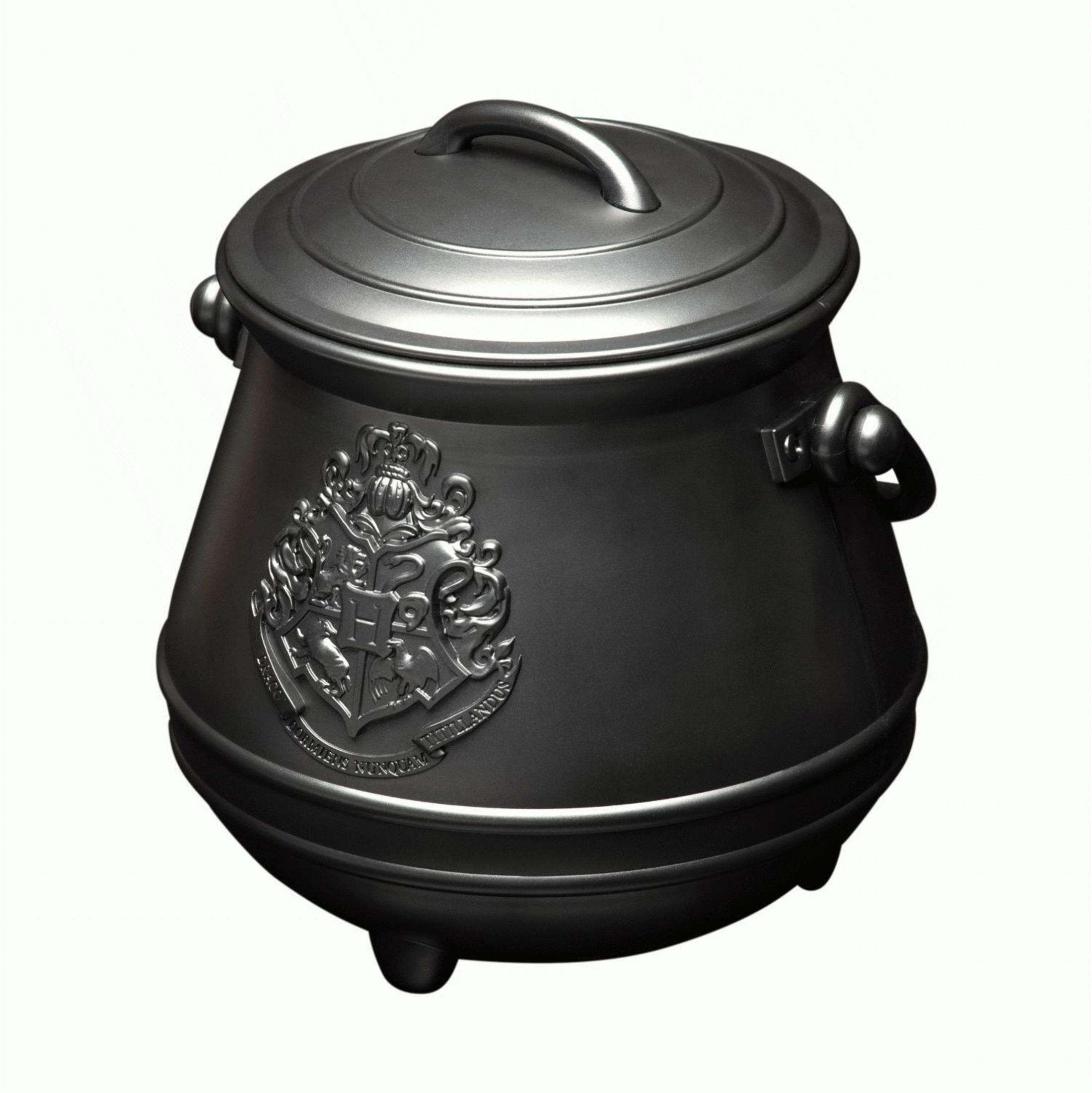 Schwarzer Kessel mit Deckel, kunstvollem Design und geprägtem Hogwarts-Wappen.