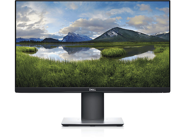 Monitor - DELL P Series P2319H