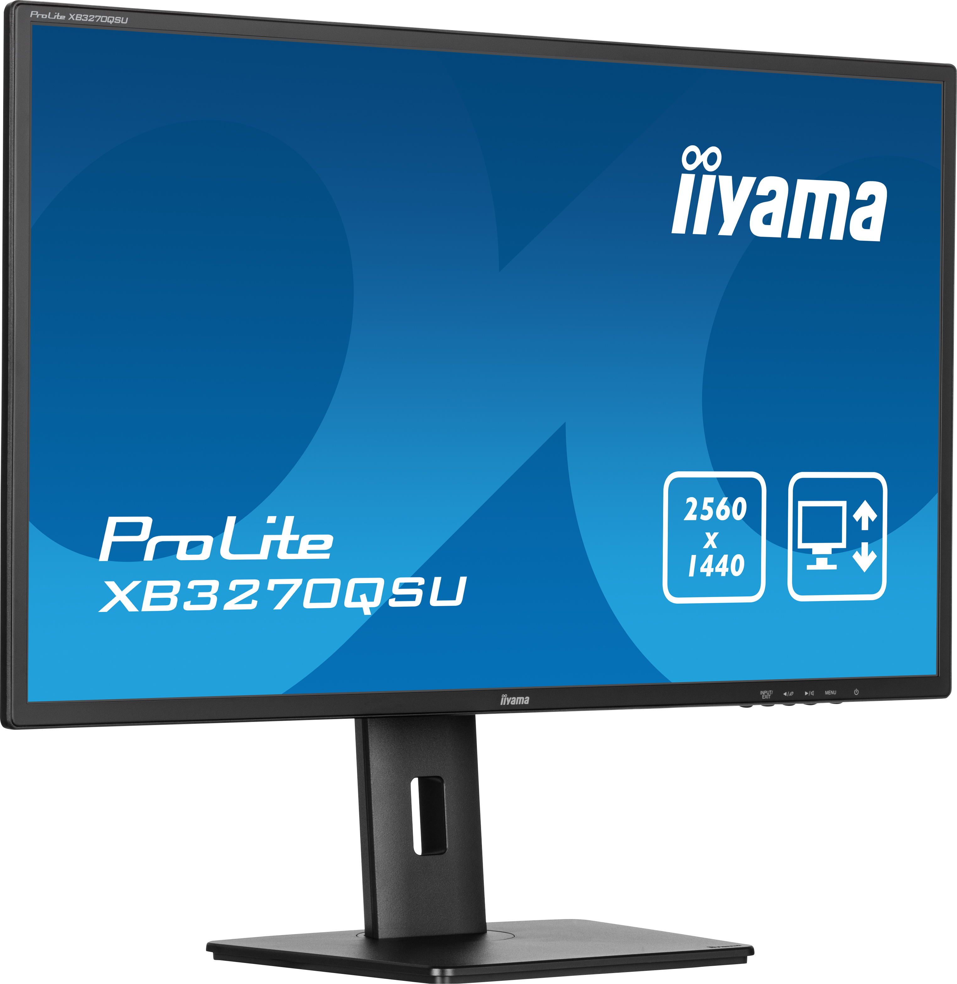 Czarny monitor Iiyama ProLite na czarnym stojaku, z niebieskim ekranem wyświetlającym informacje.