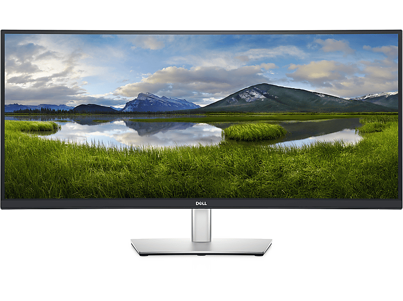 Monitor - DELL DELL-P3421W