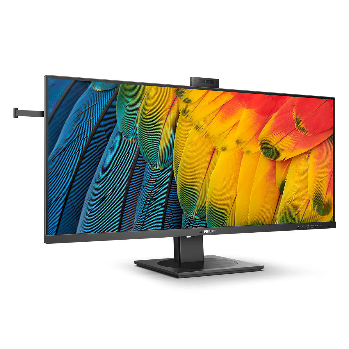 Un monitor con una imagen colorida de plumas.