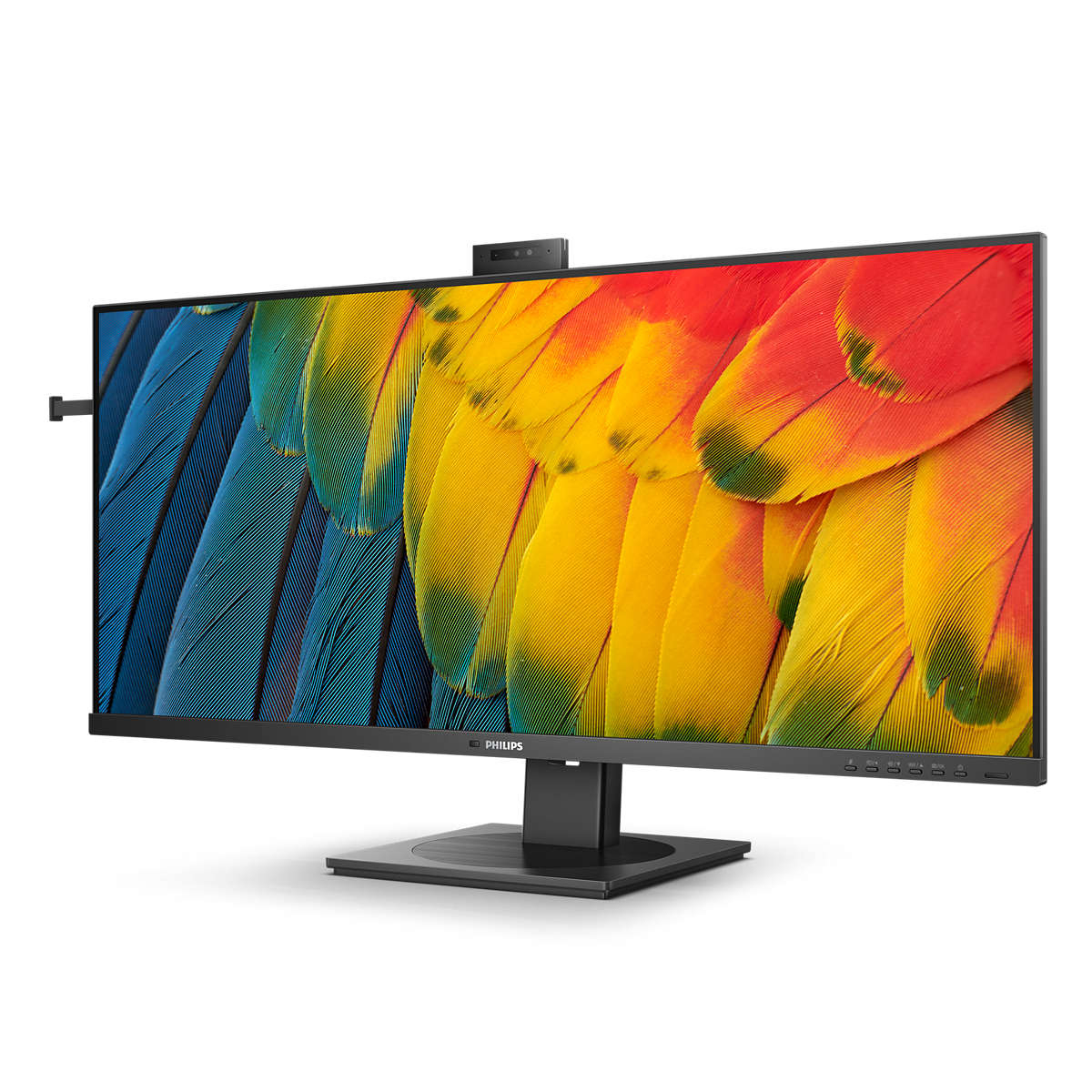 Un monitor muestra una imagen de plumas de pájaro.