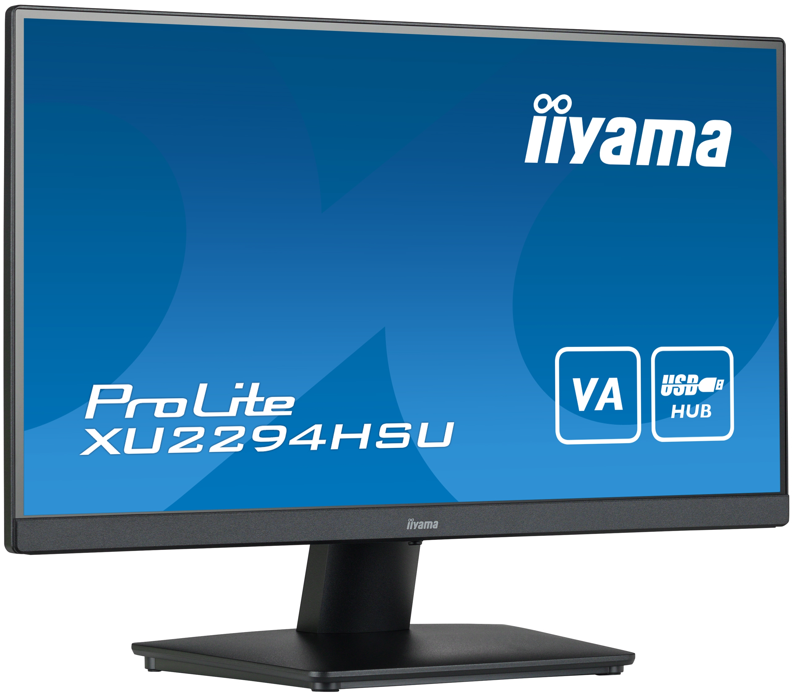 Monitor per computer Iiyama. Cornice nera. Testo bianco su schermo blu.
