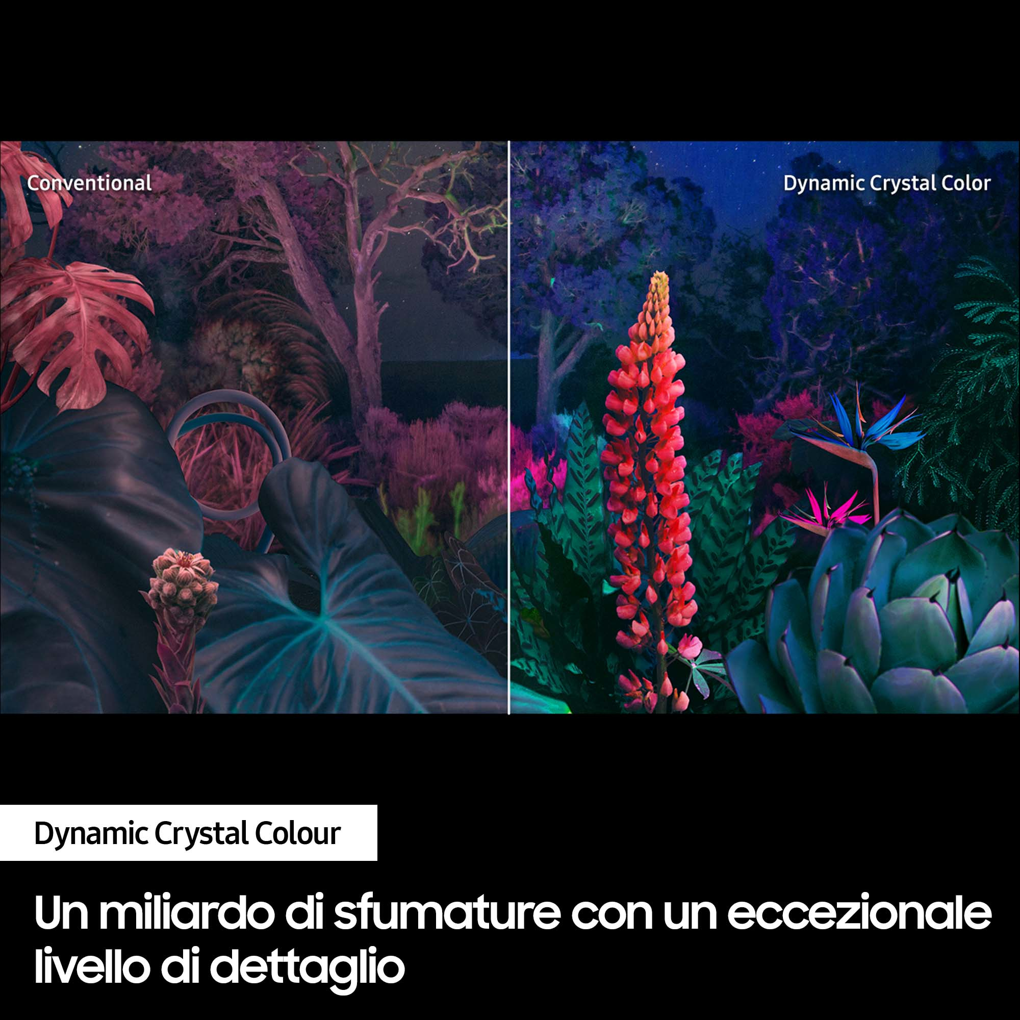 Obraz porównujący konwencjonalny z Dynamic Crystal Color na roślinach.