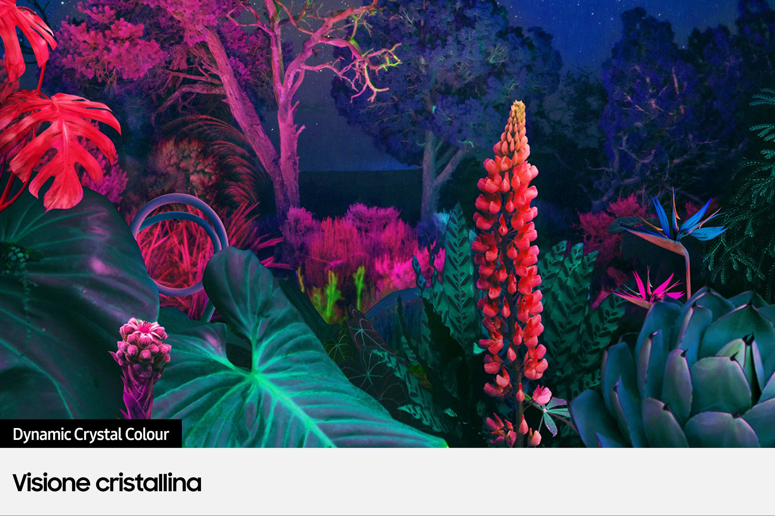 Una lussureggiante scena di giardino con una vasta gamma di piante e fiori.