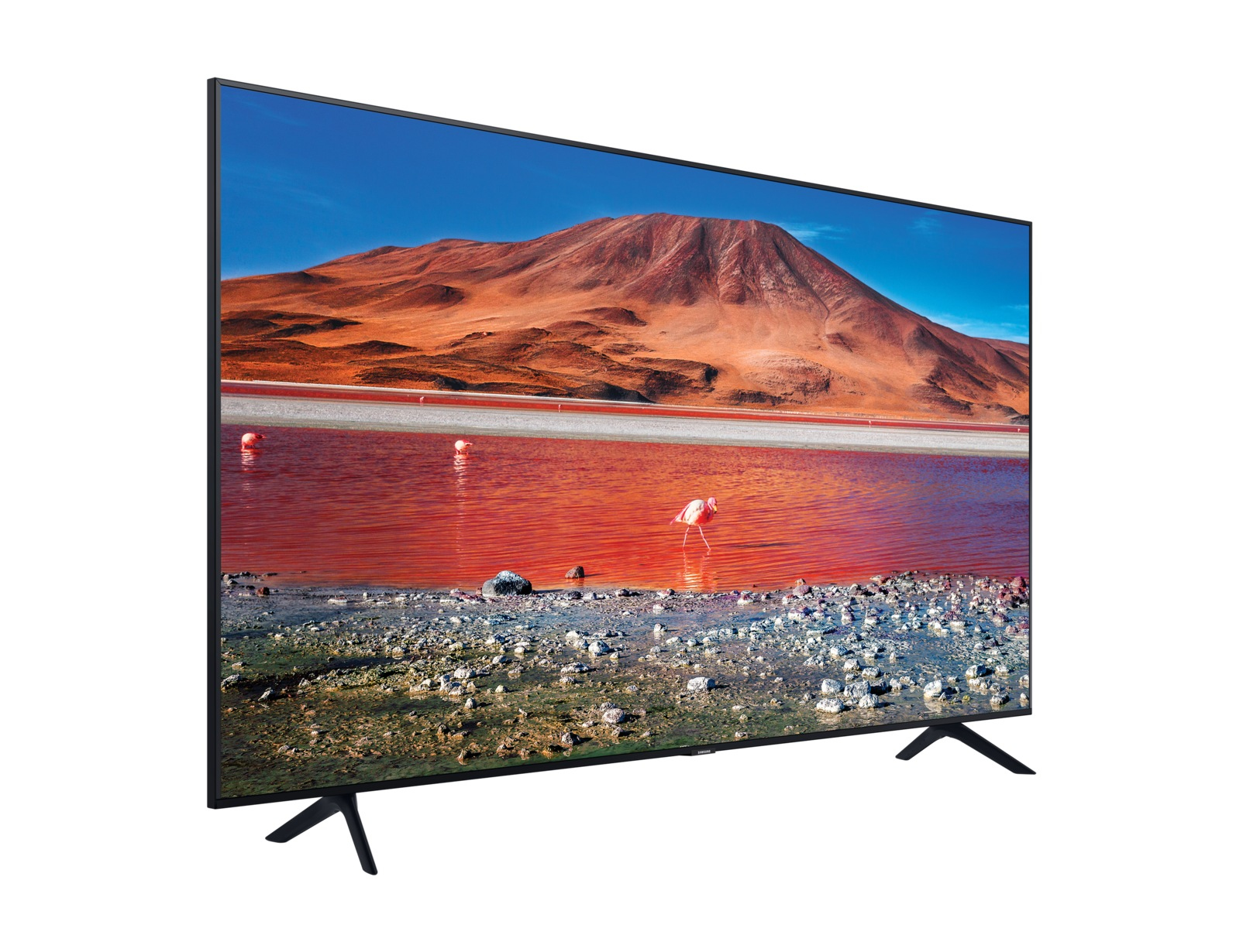 Uno schermo TV che mostra un paesaggio di montagne e un lago rosa con fenicotteri nell'acqua.