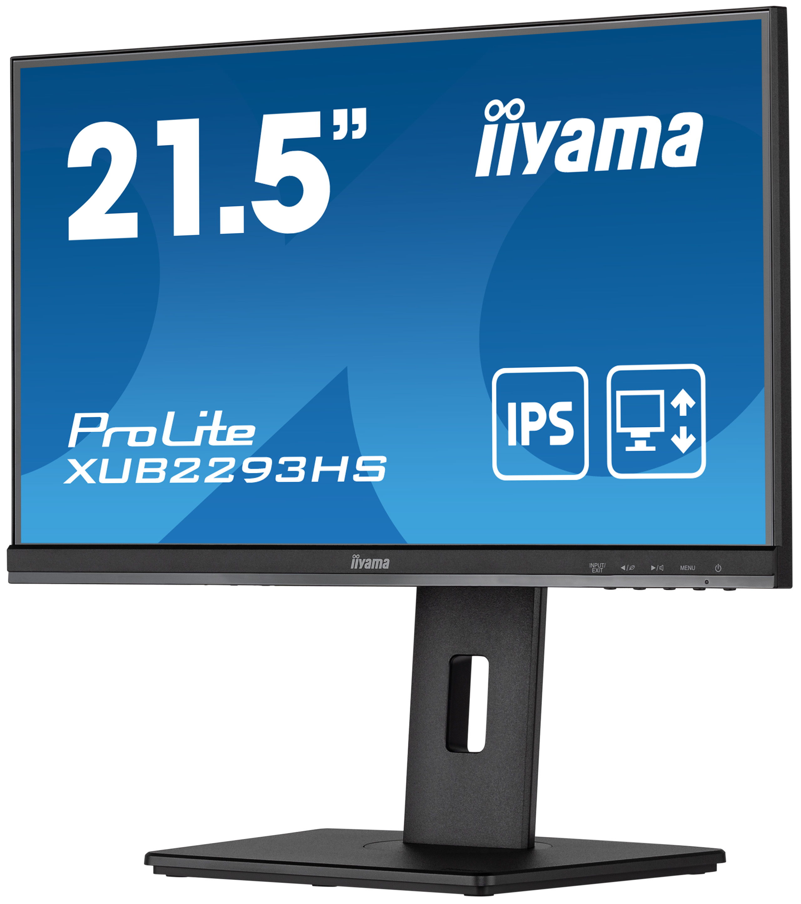 Monitor Iiyama wyświetla niebieski ekran z tekstem i ikonami, w tym 'IPS' i '21.5"'.
