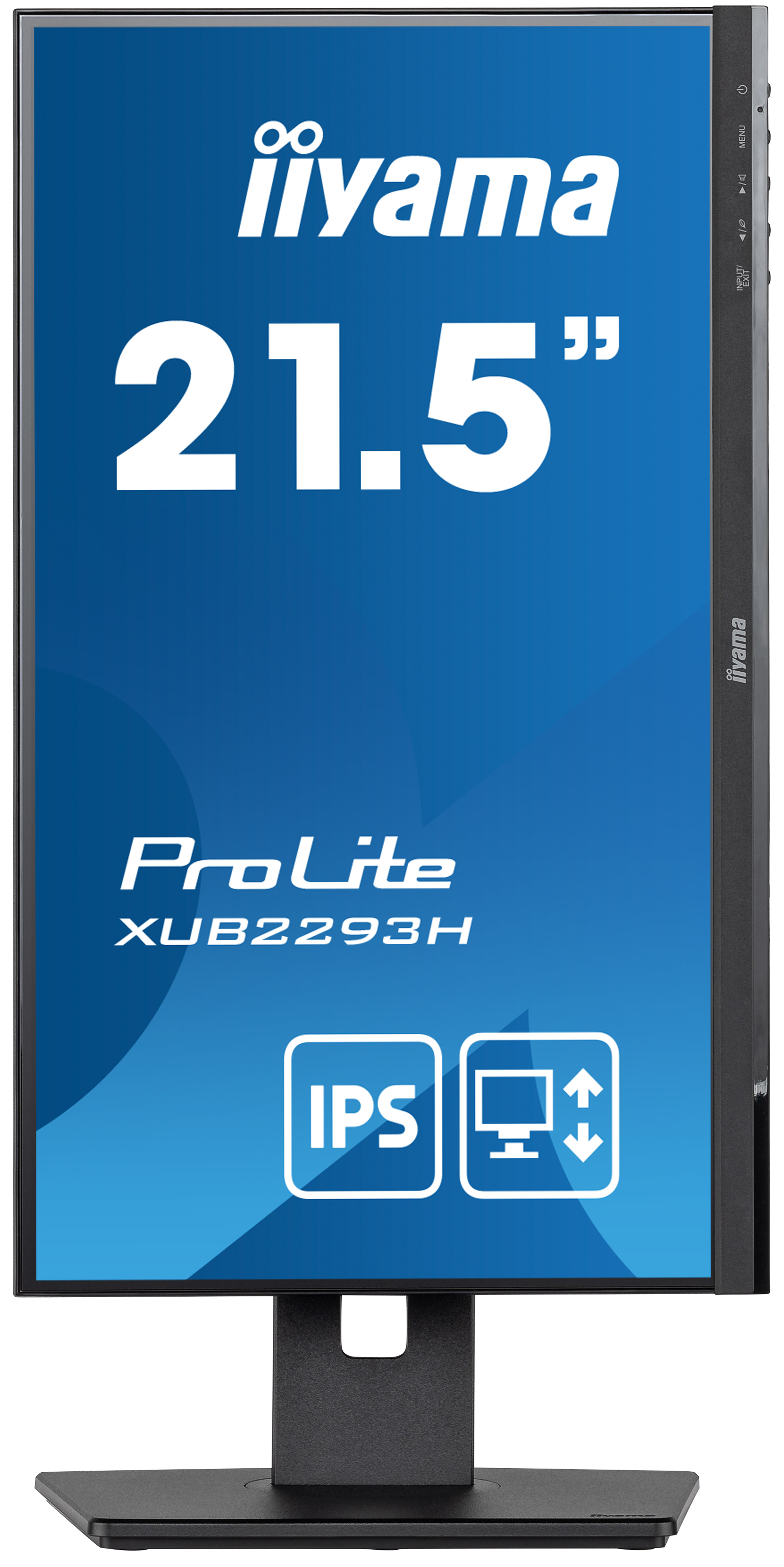 Monitor Hannspree 34" z zielonym i białym tłem. Wyświetla logo.