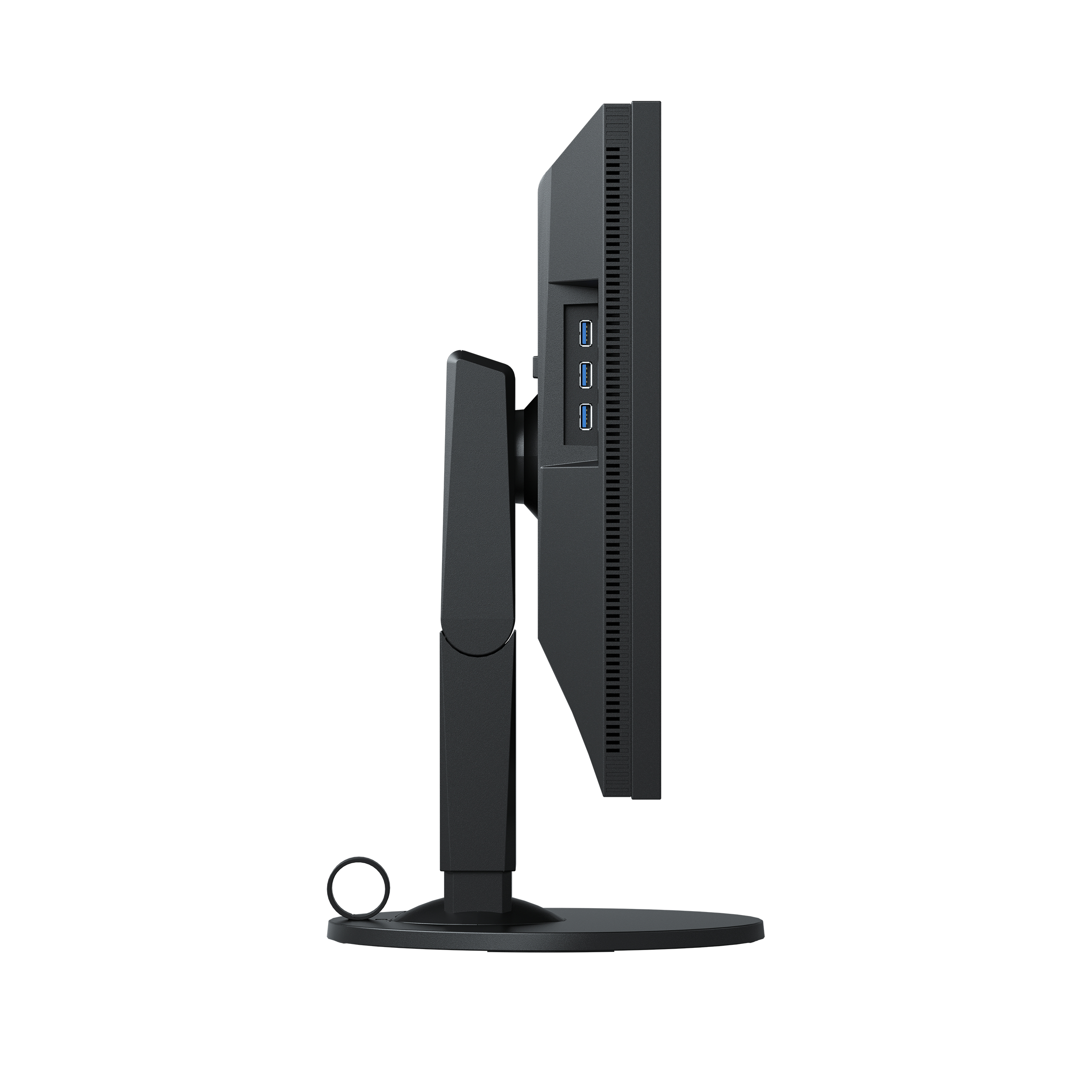 Vista laterale di un monitor Iiyama. Cornice e supporto neri. Le porte sono visibili.