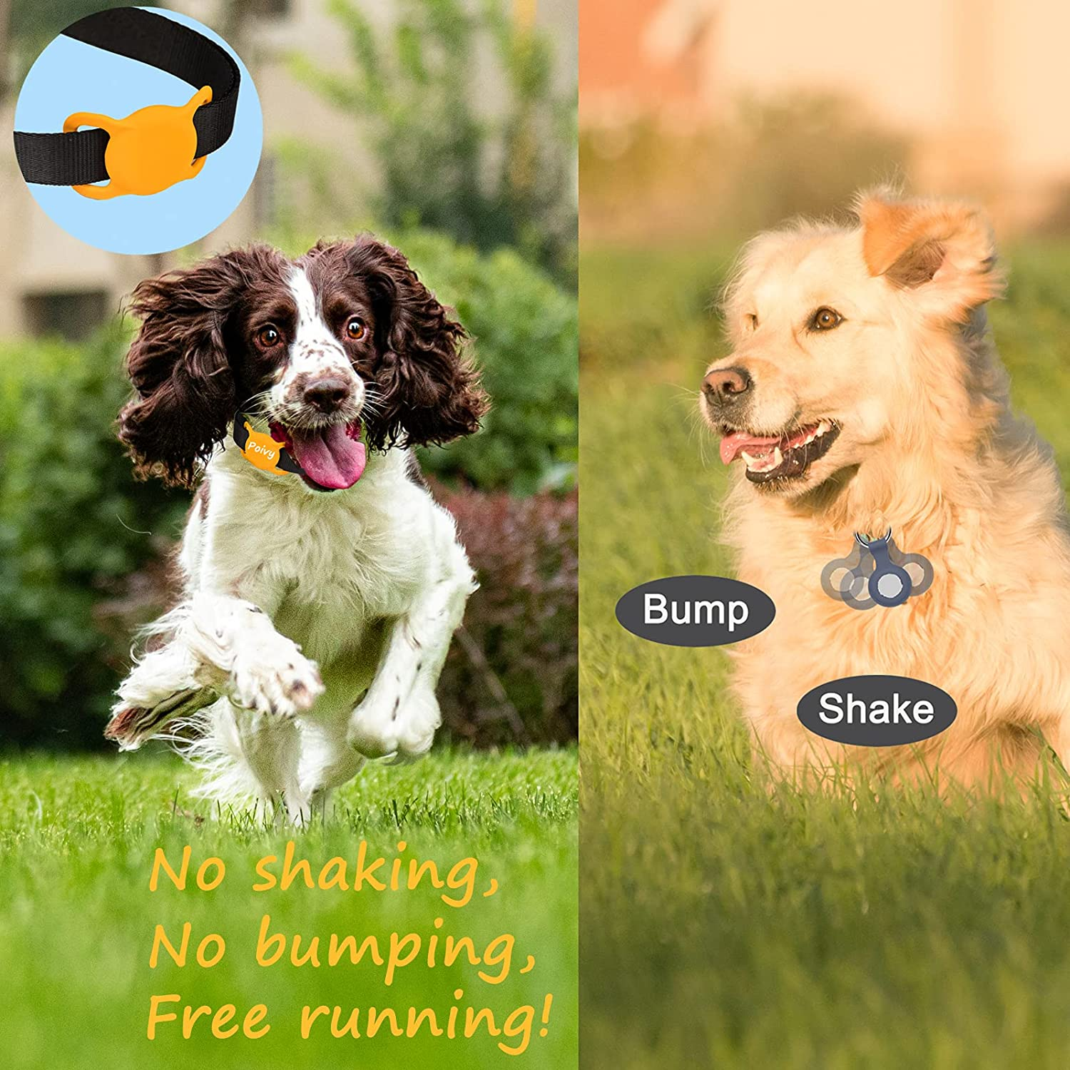 Dwa psy z obrożami, jeden biegnie, drugi idzie. Tekst: Bez wstrząsów.