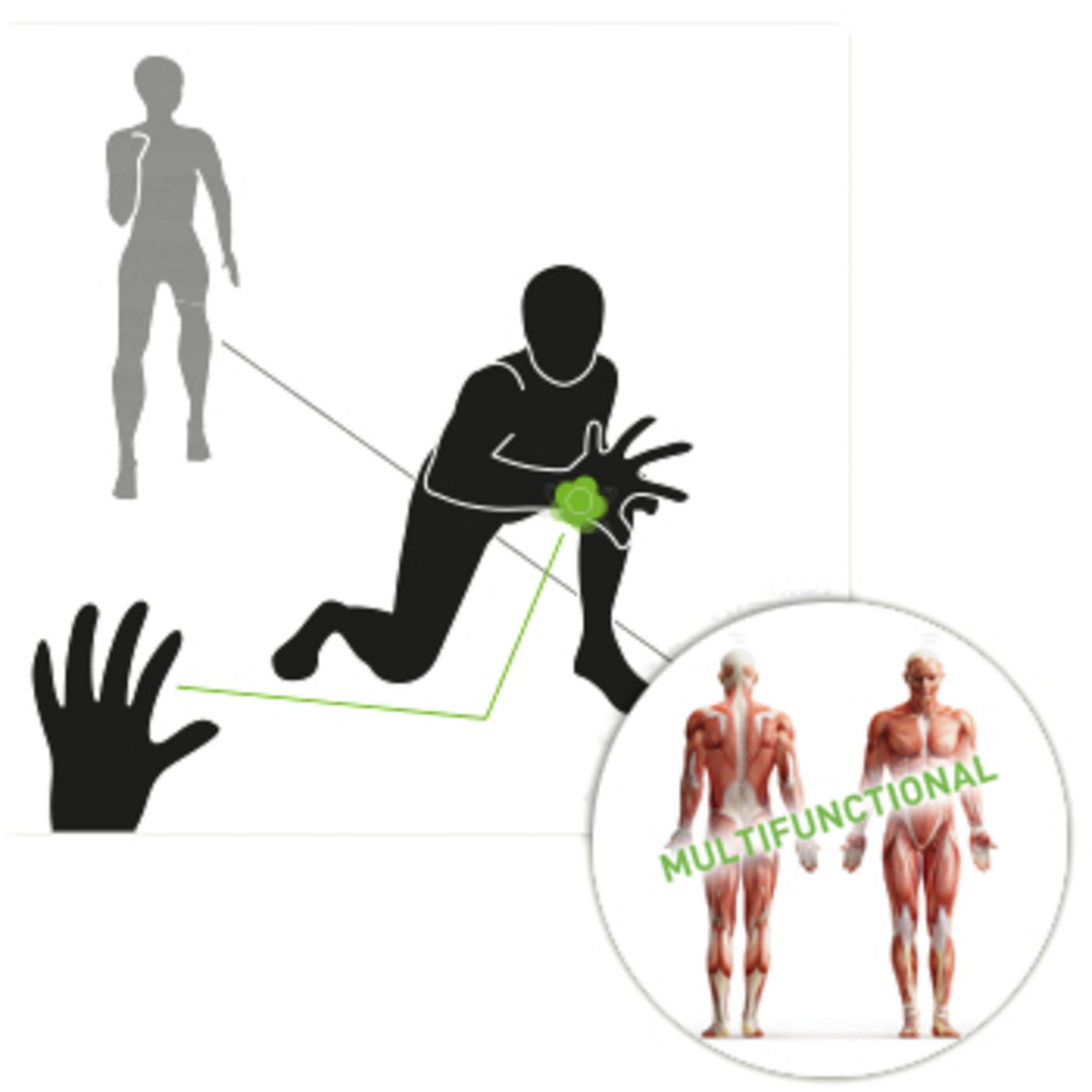 Diagramma illustrativo di anatomia umana con elementi di allenamento fitness.